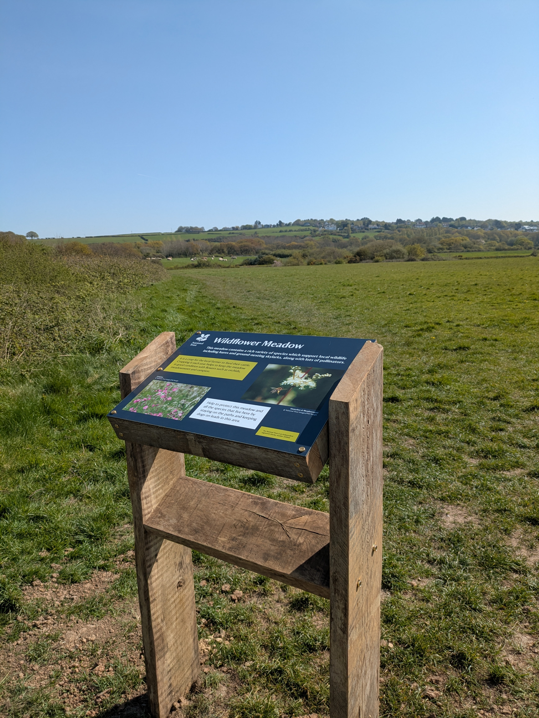 A wooden information sign about Wildflower Meadows stands in a grassy field with rolling hills in the background.