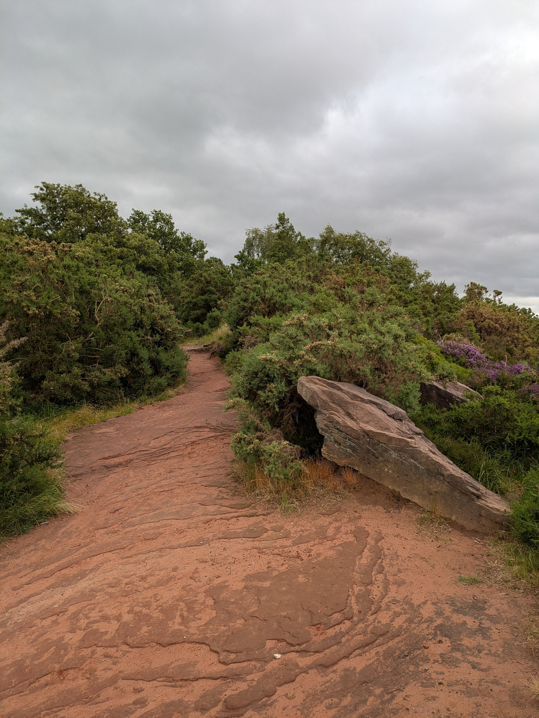 A dirt path winds through lush greenery and large rocks under a cloudy sky.