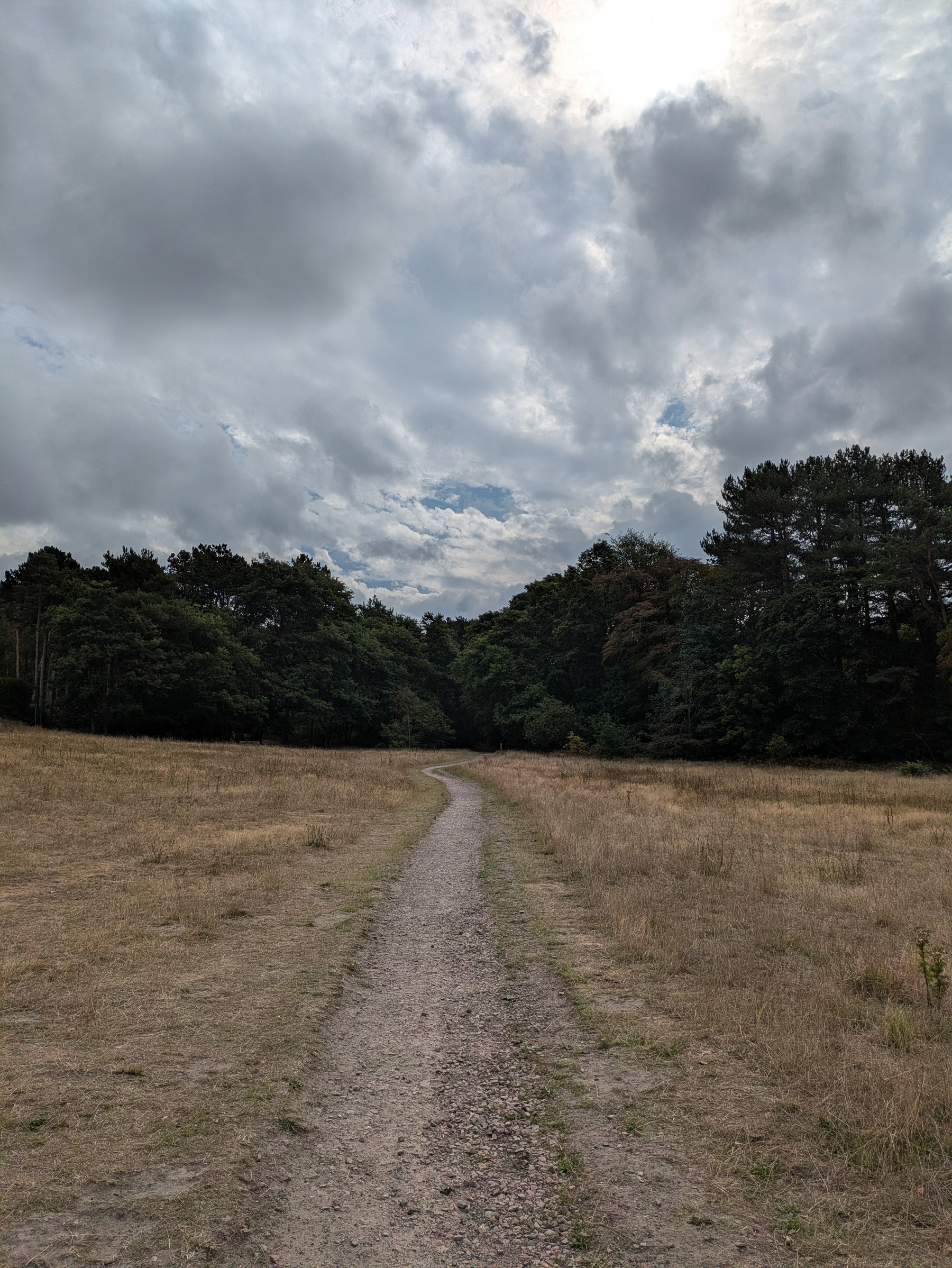 A narrow dirt path winds through a dry grassy field towards a dense forest under a cloudy sky.