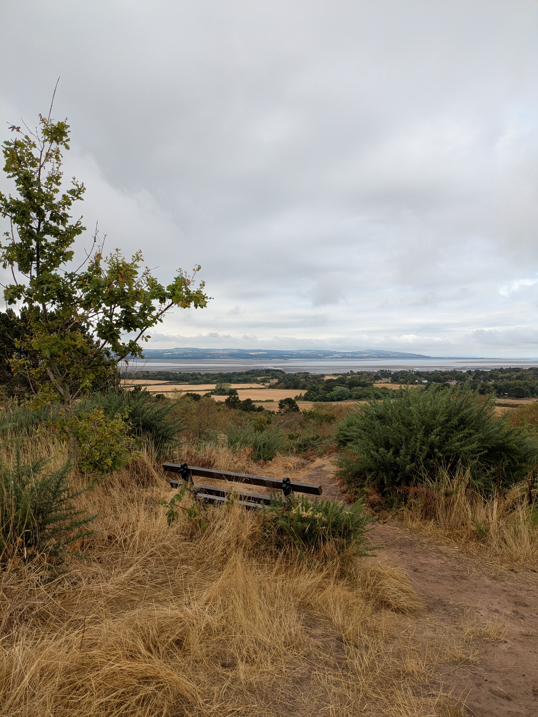 A wooden bench overlooks a scenic landscape of grassy fields, bushes, and distant water under a cloudy sky.