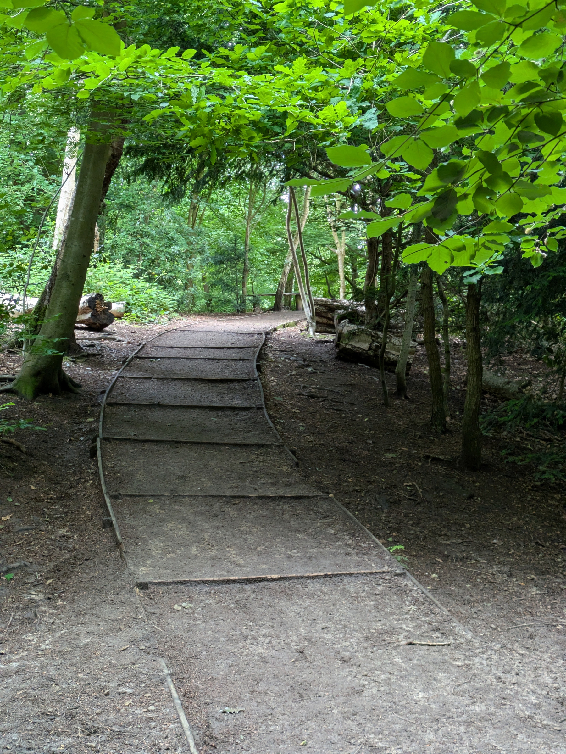A winding dirt path bordered by trees leads through a lush, green forest.