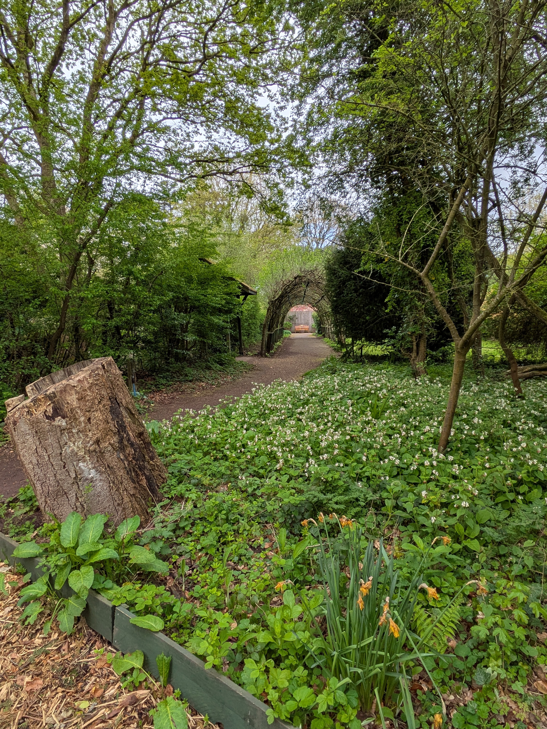 A lush green woodland path is lined with wildflowers and trees, featuring a prominent tree stump on the left.