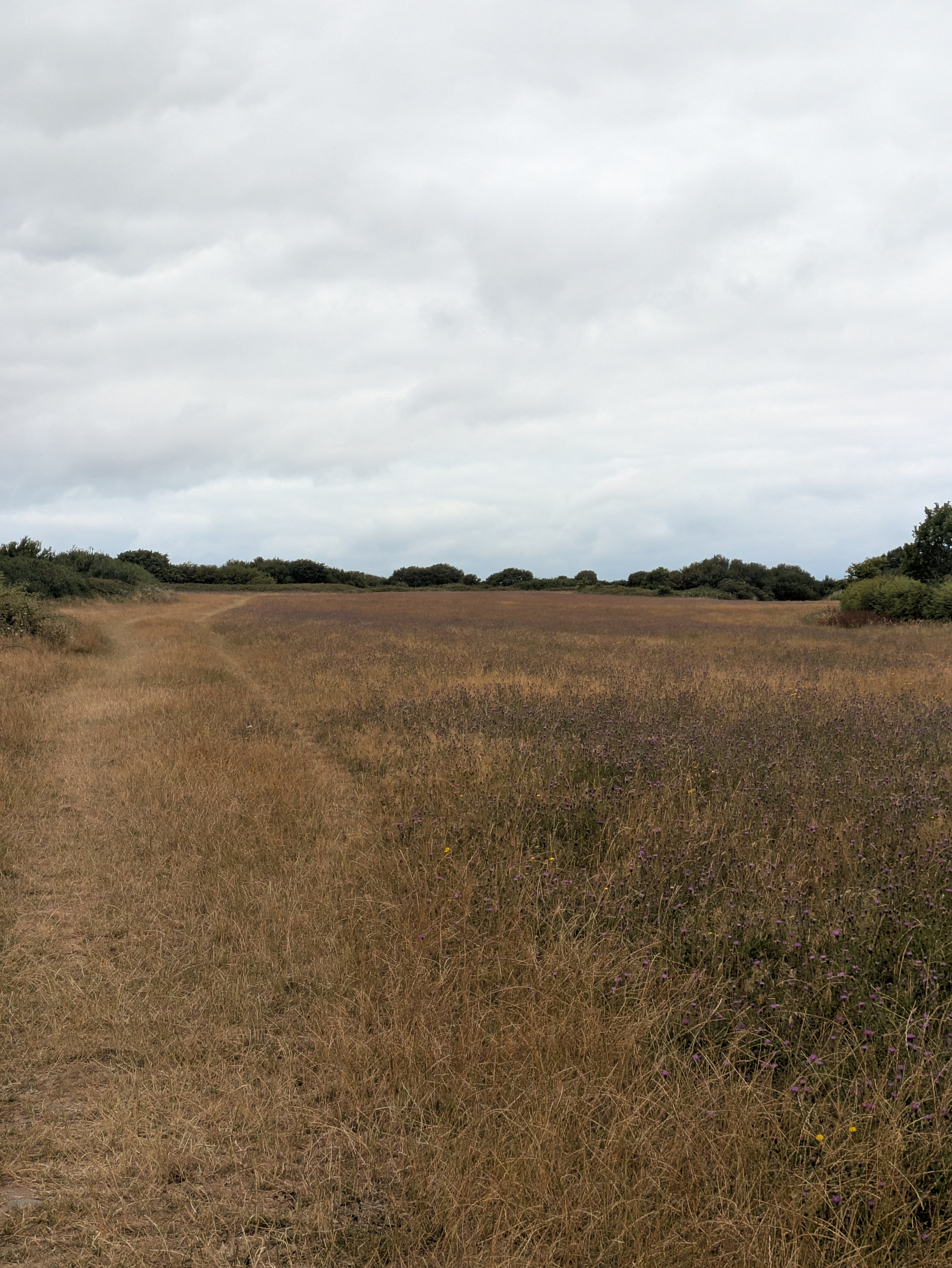 A narrow dirt path winds through a vast dry grass field under a cloudy sky.