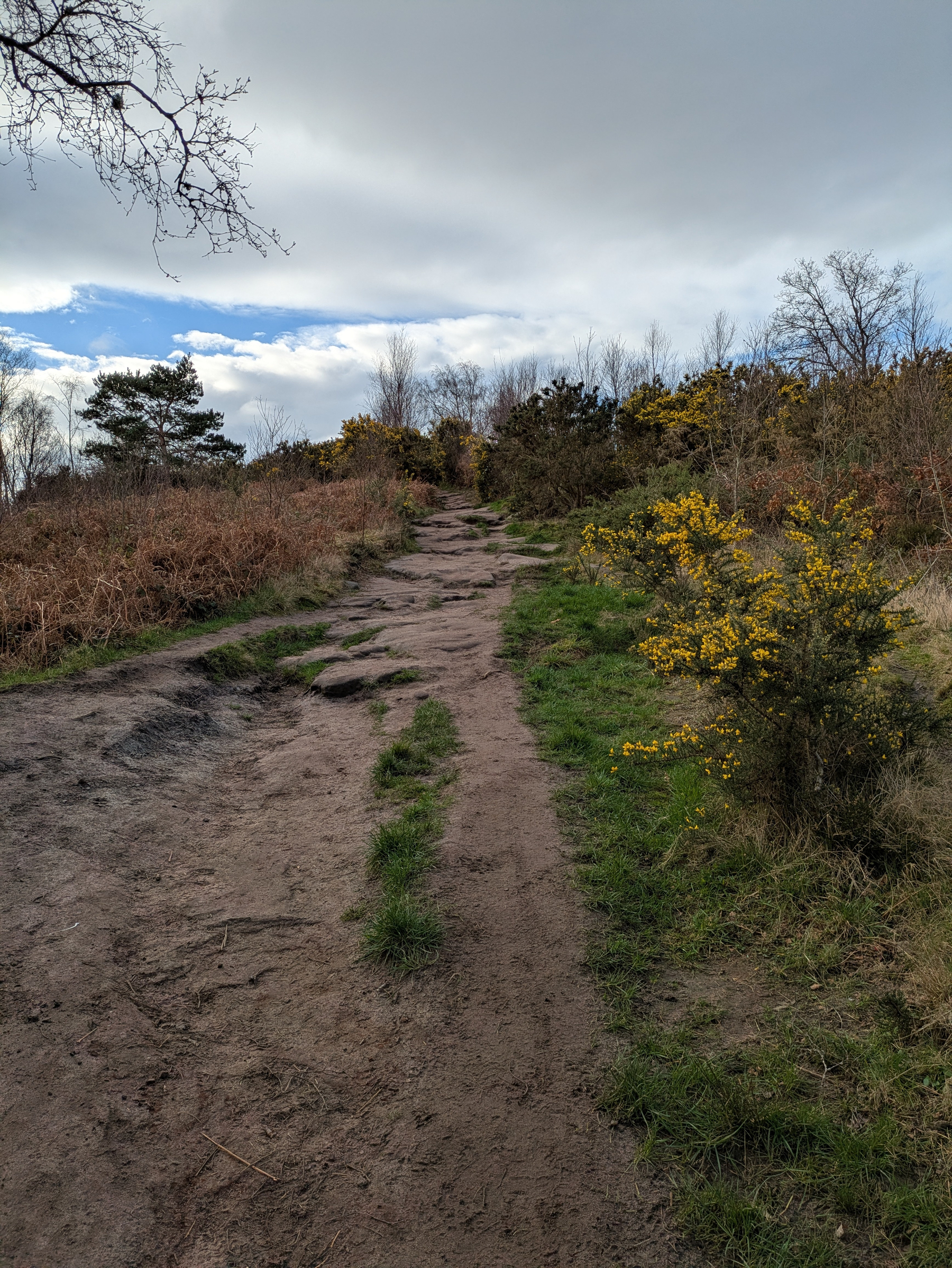 A dirt path winds through a natural landscape with grass, bushes, and trees under a partly cloudy sky.