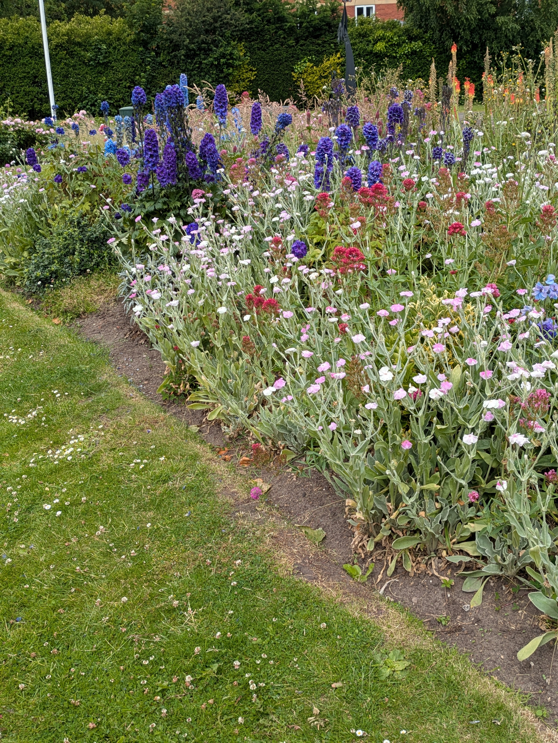 A colorful garden bed filled with various flowers, including purple and pink blooms, is bordered by a well-maintained grassy area.
