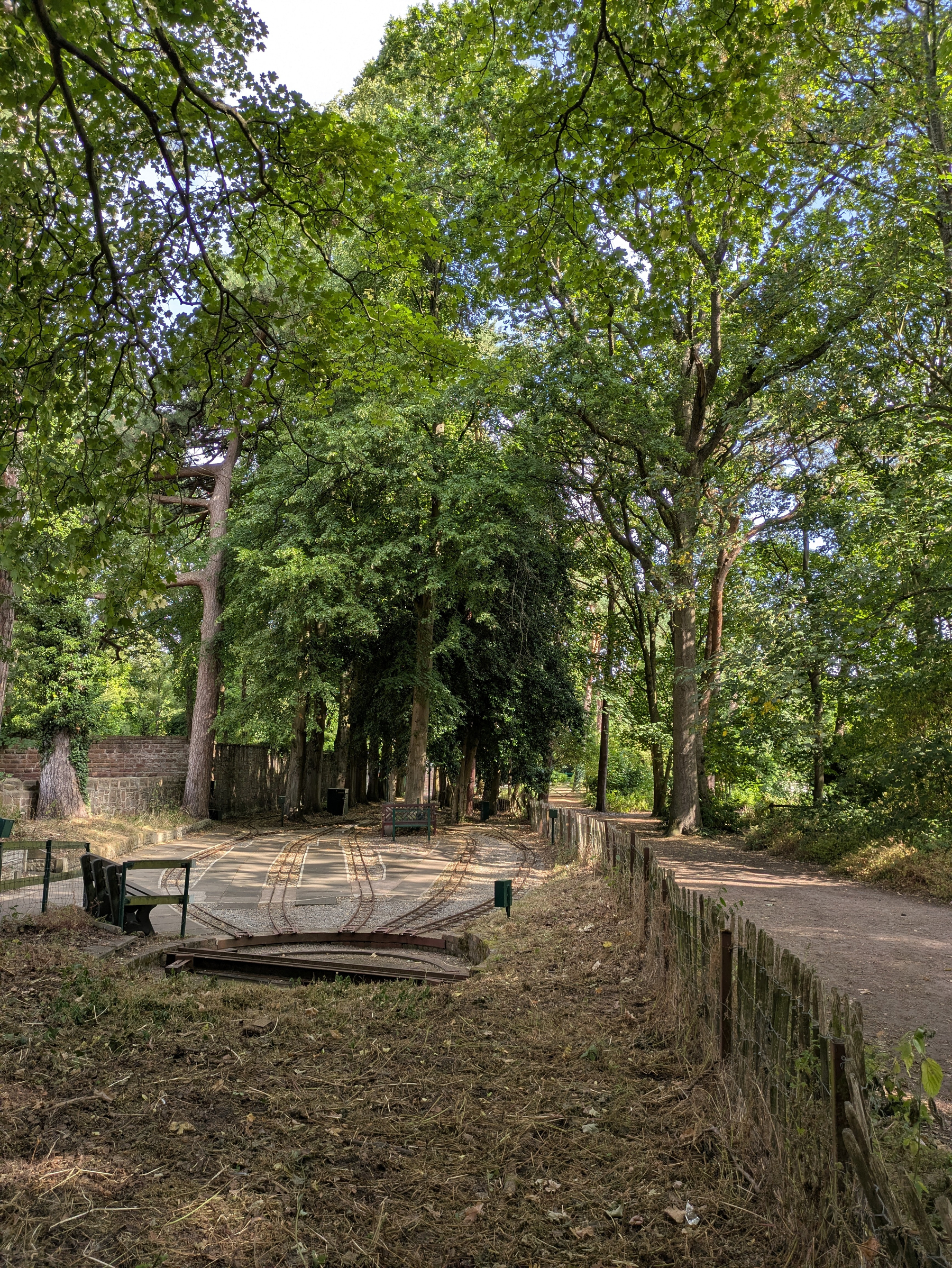 A peaceful wooded area features a small turntable with rails, surrounded by tall trees and a dirt path on the right side.