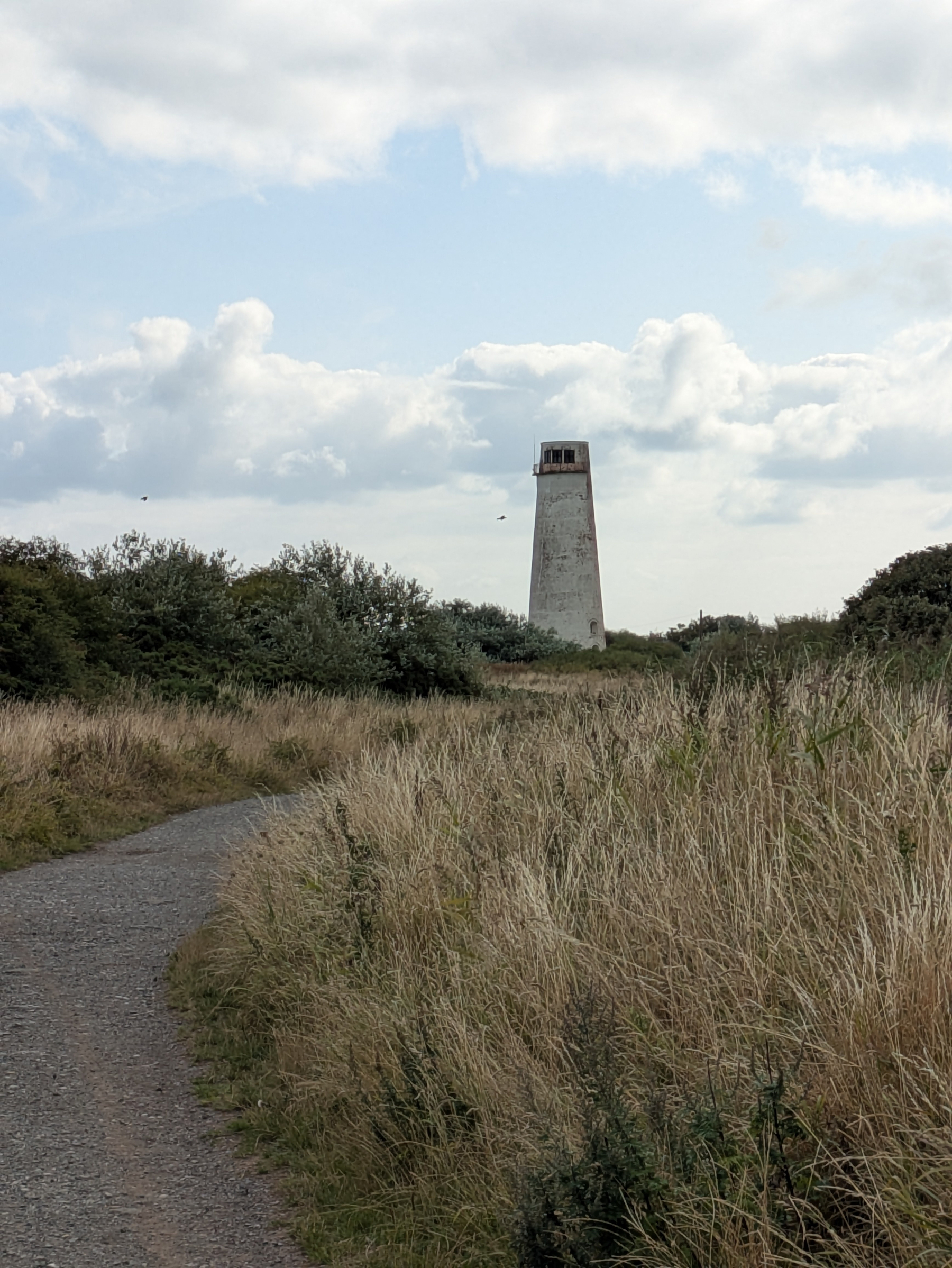 A tall, weathered lighthouse stands in the distance behind bushes and tall grass beside a winding gravel path under a partly cloudy sky.
