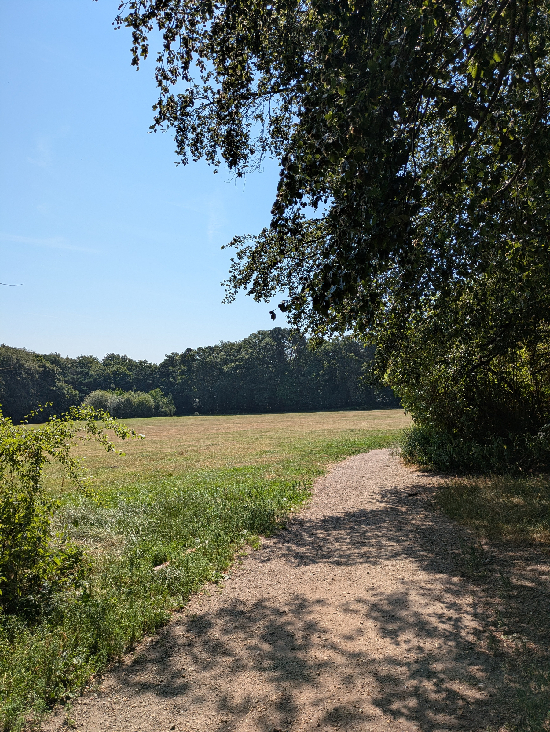 A dirt path runs alongside a grassy field bordered by trees under a clear blue sky.