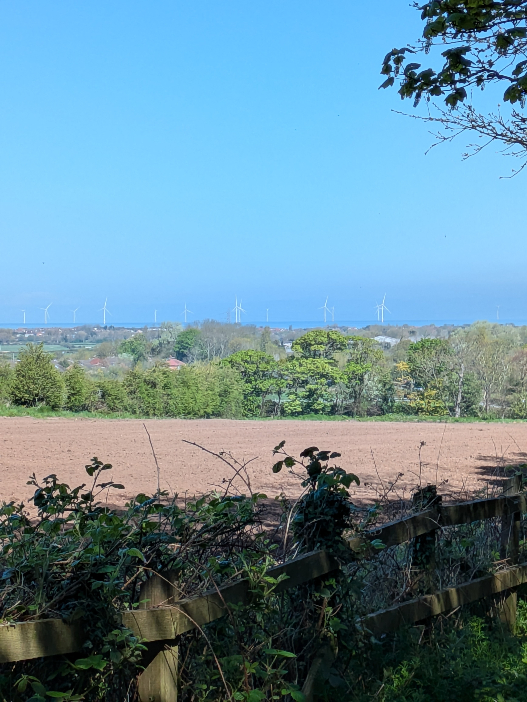 A rural landscape features a plowed field, wind turbines in the distance, and trees under a clear blue sky.