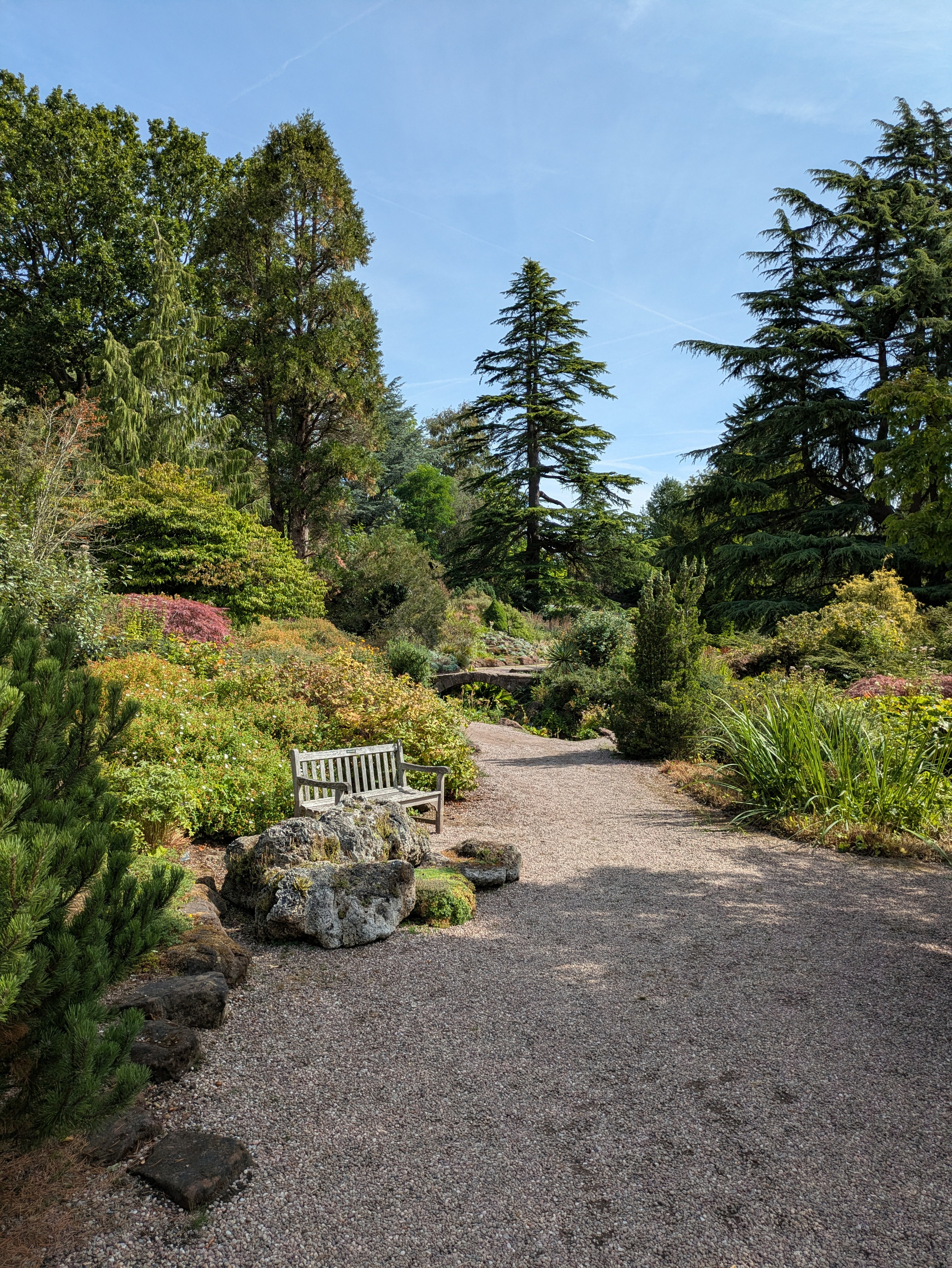 A peaceful garden path lined with lush greenery and a wooden bench next to some large rocks stretches under a clear blue sky.