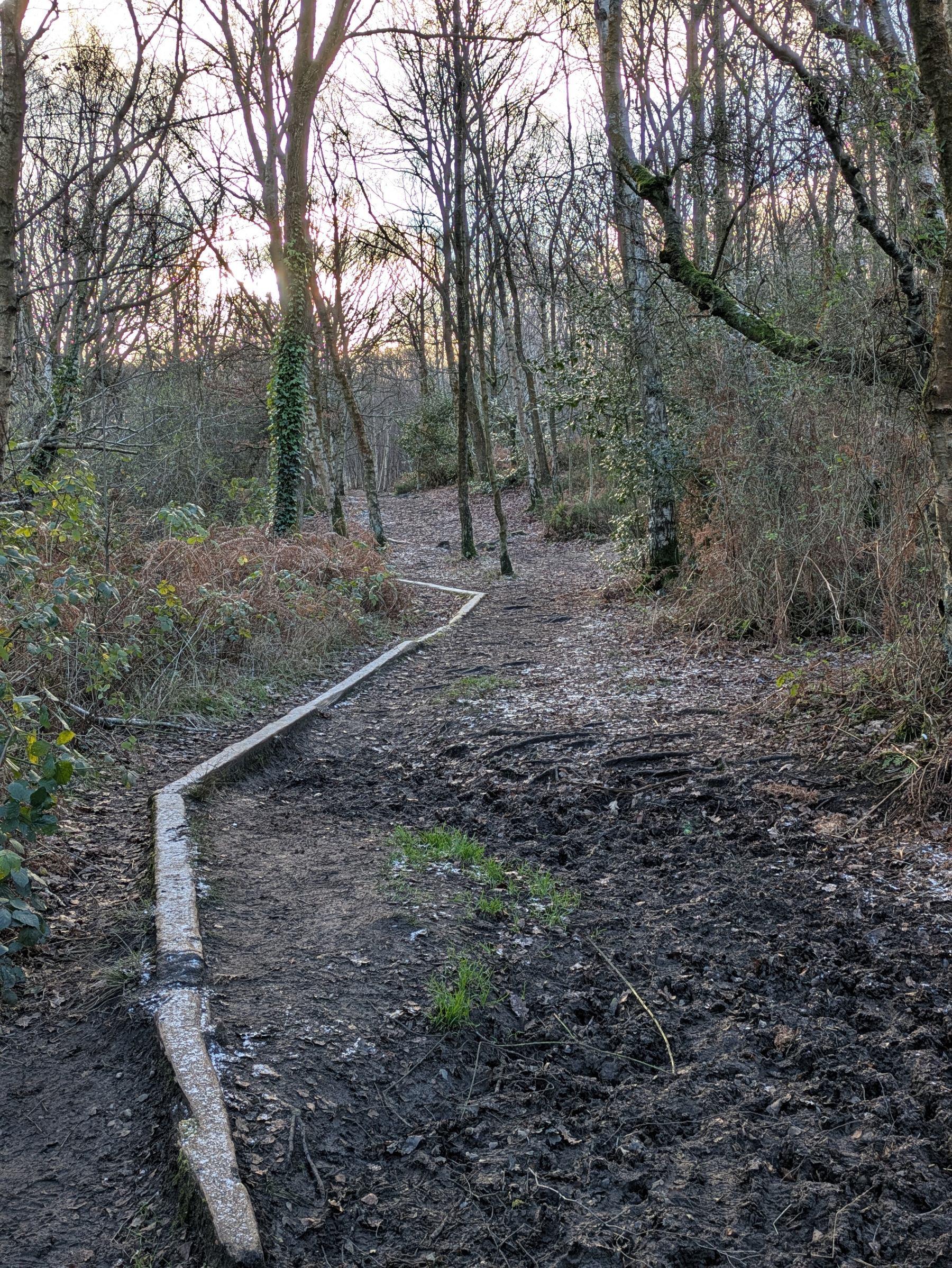 A narrow, winding path leads through a forested area with bare trees and undergrowth.
