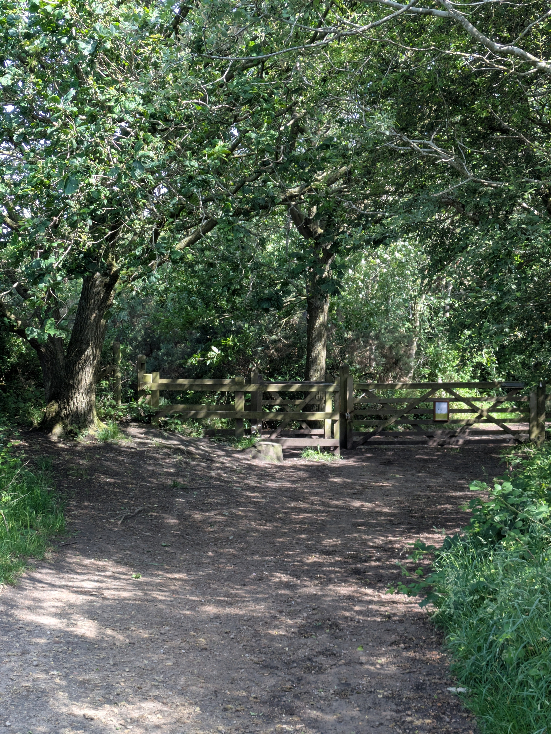 A sunlit dirt path leads to a wooden gate surrounded by lush greenery and trees.