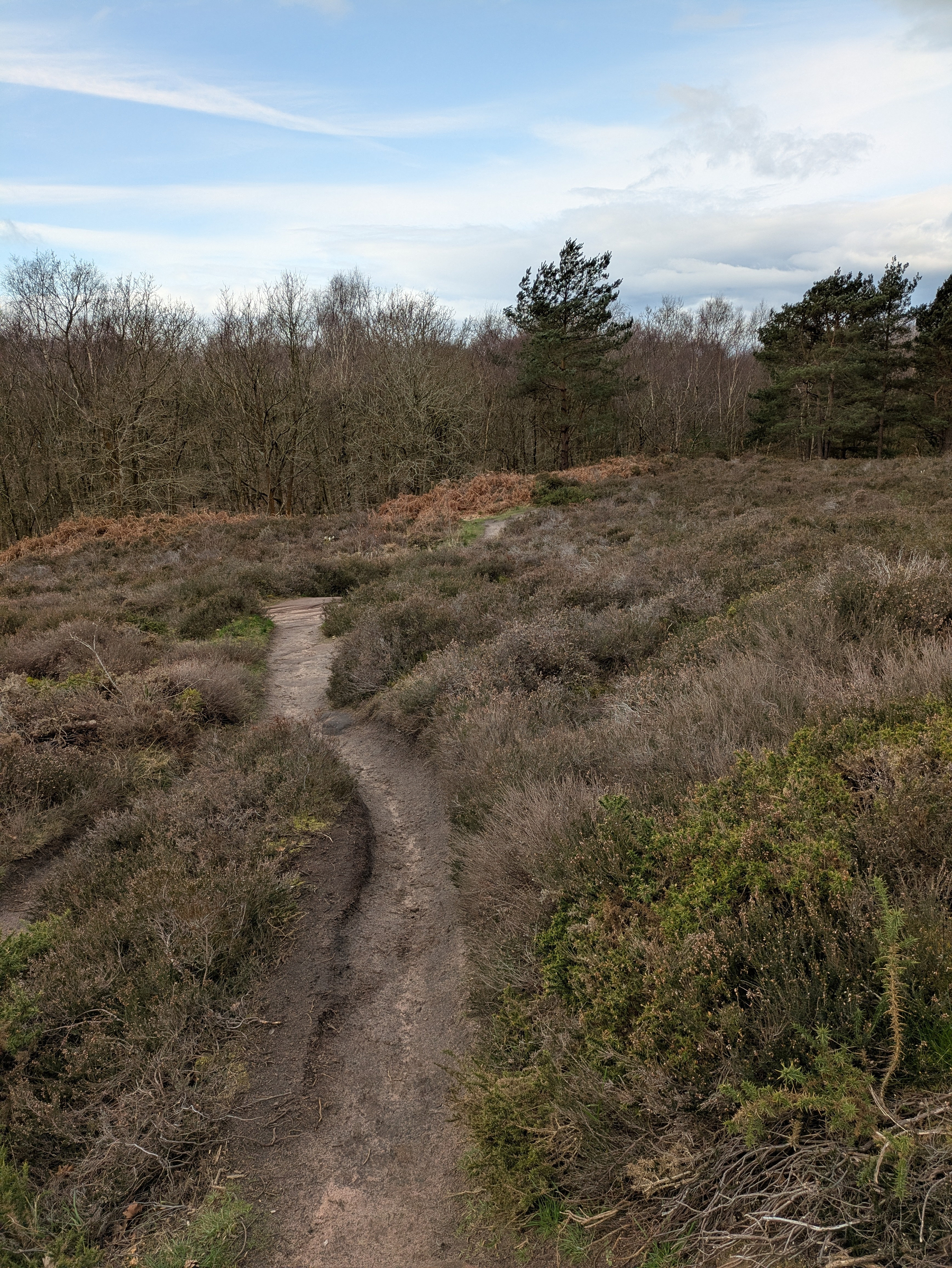A narrow dirt path winds through a grassy and shrub-filled landscape with trees lining the horizon under a partly cloudy sky.