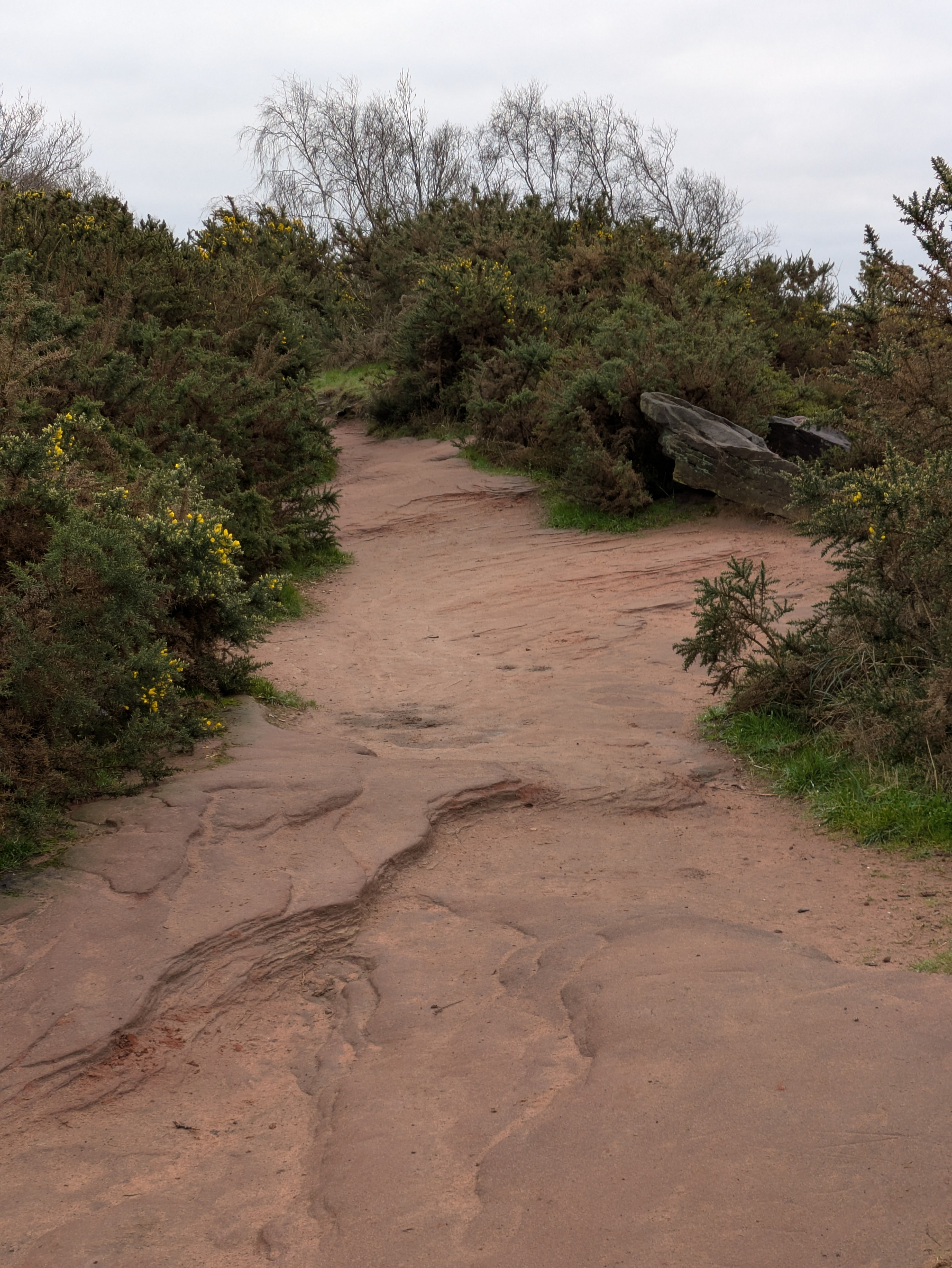 A rocky path is surrounded by bushes and sparse trees under a cloudy sky.