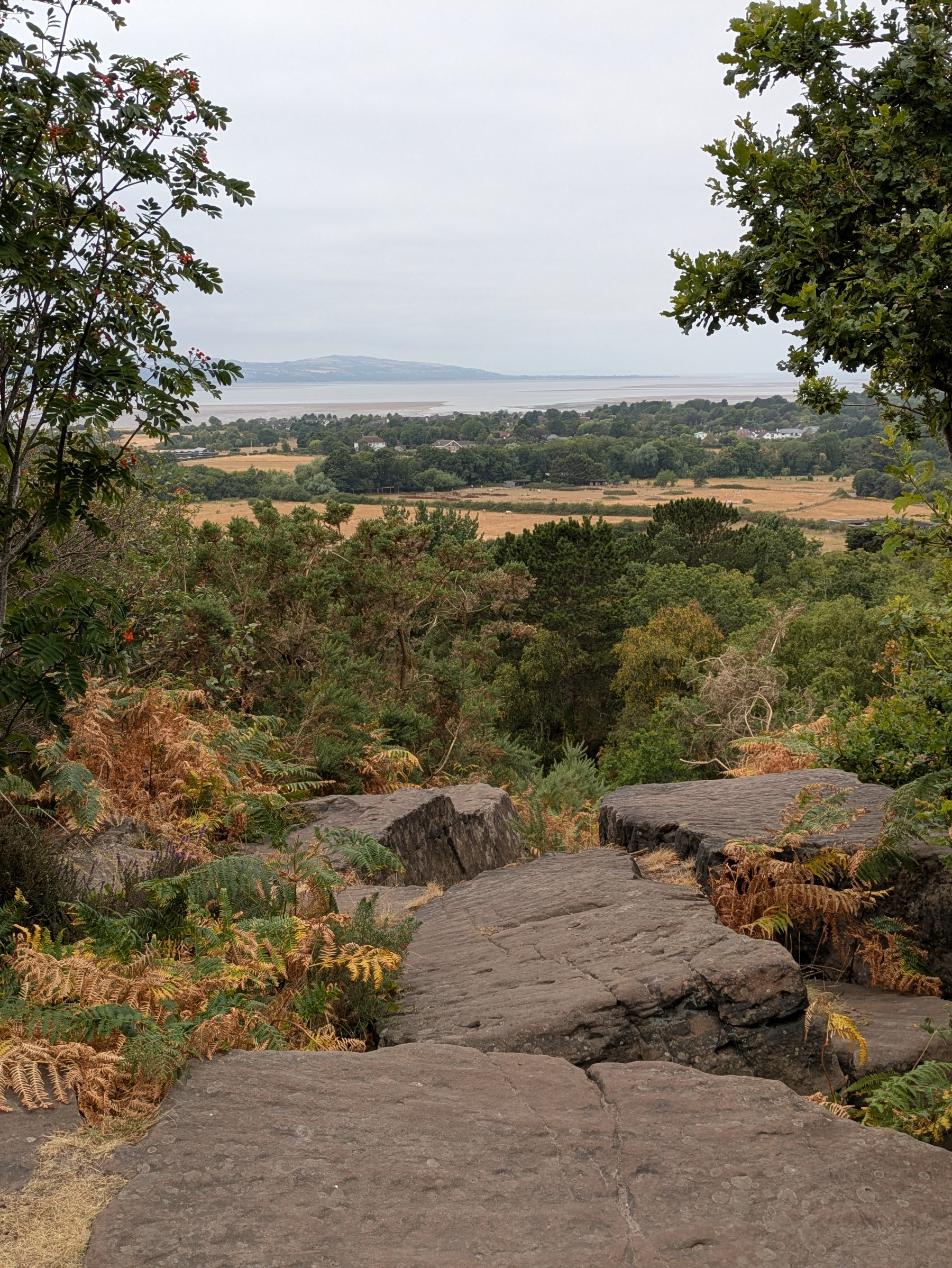 A rocky path leads through lush greenery overlooking fields, dense trees, and a distant body of water under a cloudy sky.