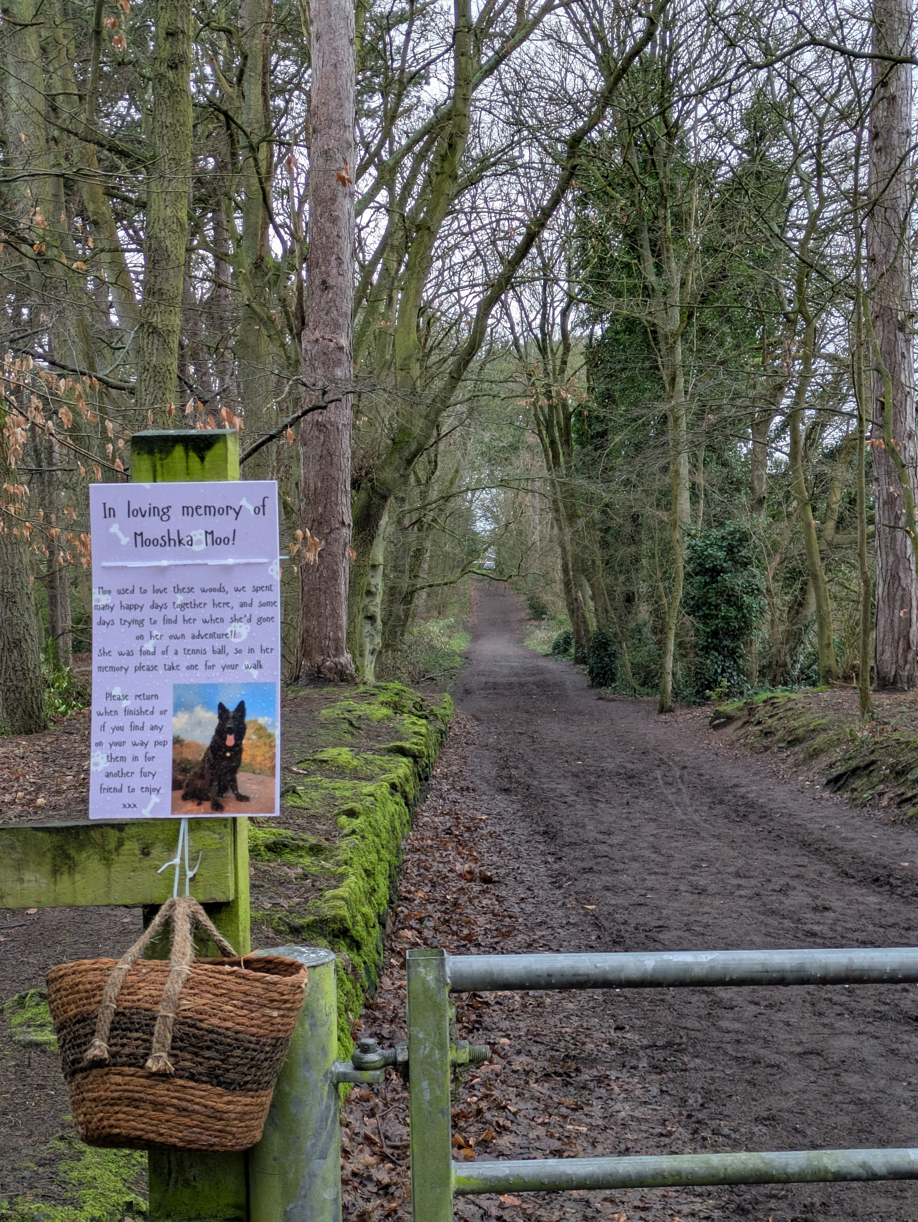 A dirt path in a wooded area features a gate with a sign in memory of a dog and a basket attached.