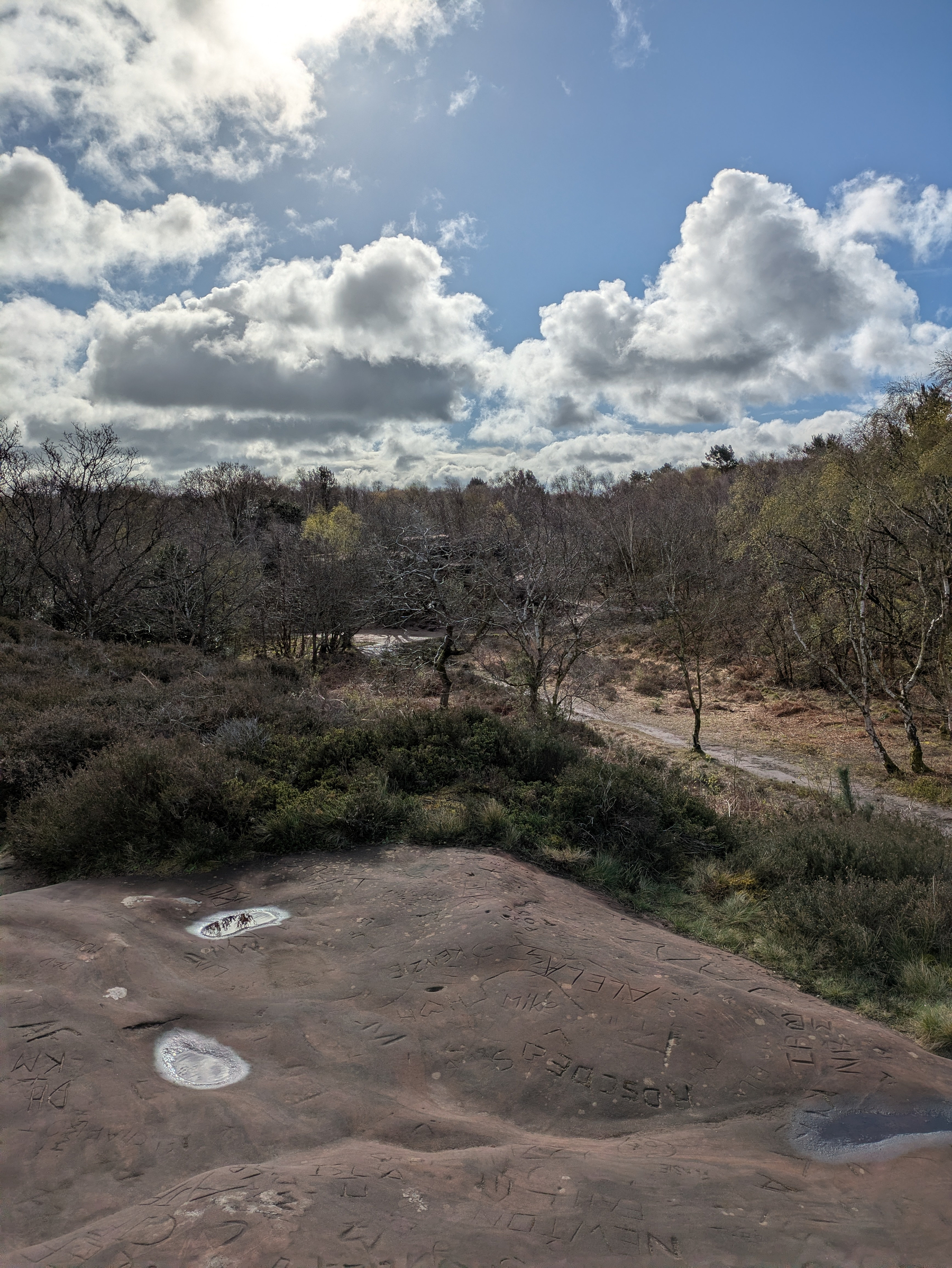 Colorful directional signs are mounted on a wooden post in a grassy area, with various instructions like KEEP ON HOPPING, Turn Right, and KEEP GOING!