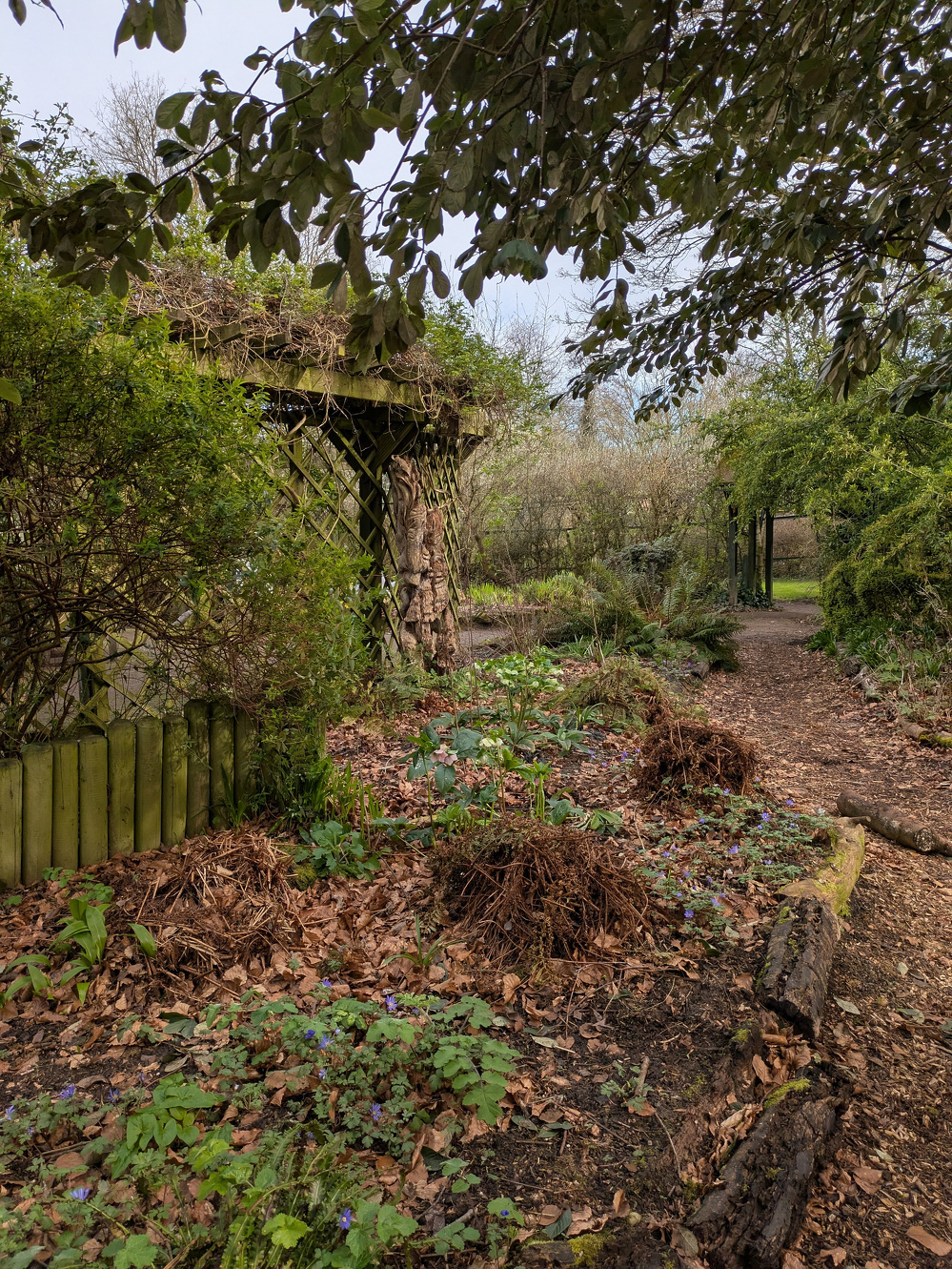 A serene garden path is surrounded by lush greenery and partially sheltered by a pergola.
