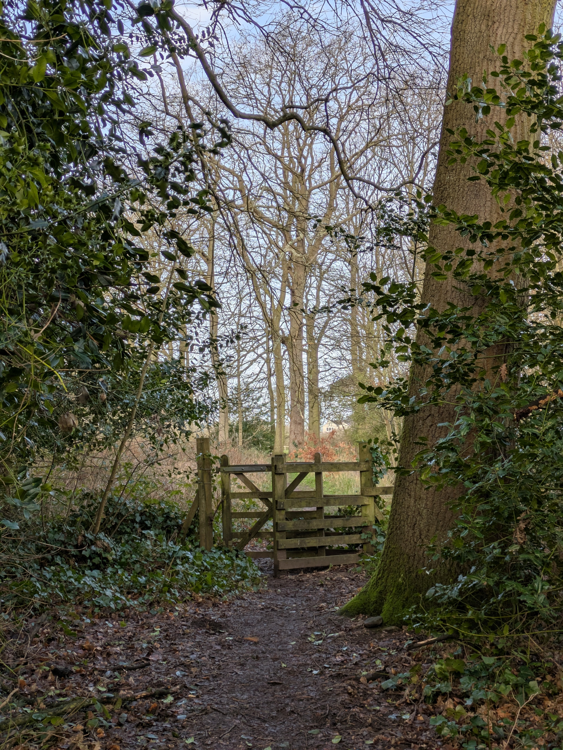A wooden gate stands along a forest path, surrounded by trees and greenery.