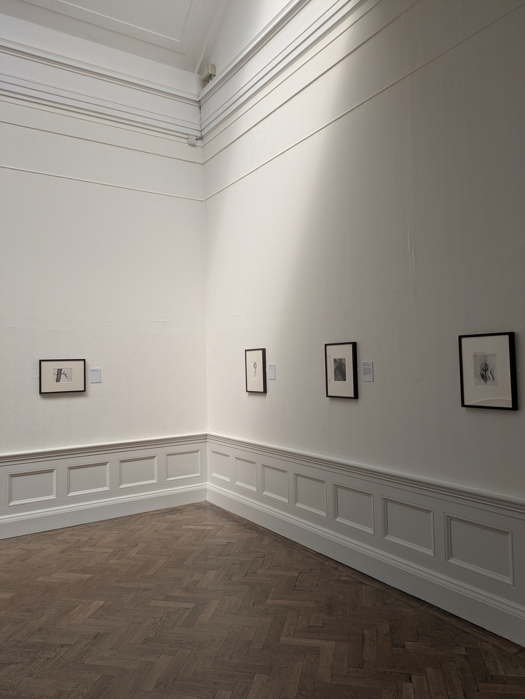 A corner of an art gallery displays four framed black-and-white sketches on white walls above decorative paneling and wooden herringbone flooring.