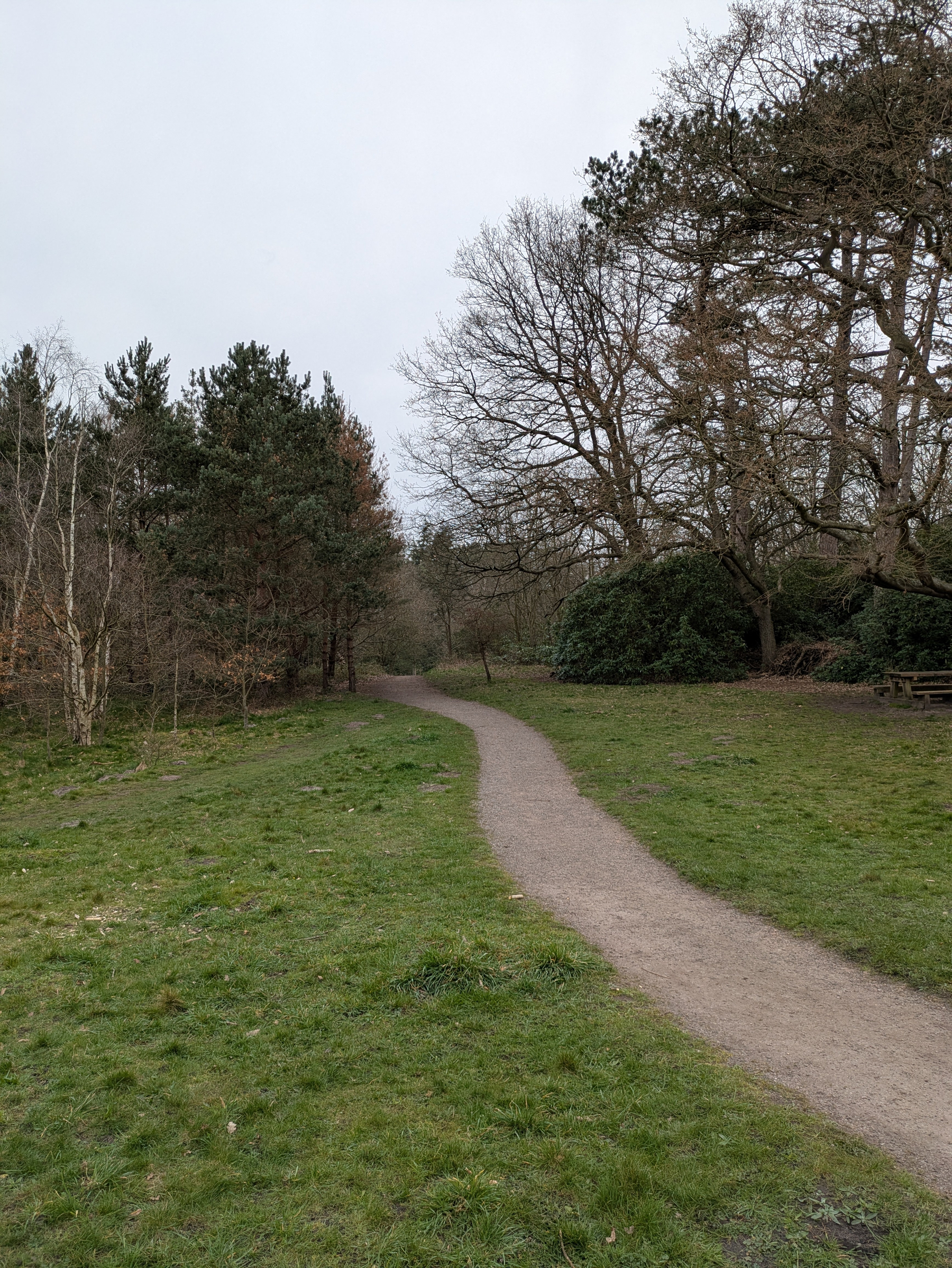 A narrow dirt path winds through a woodland area with trees and grassy fields.
