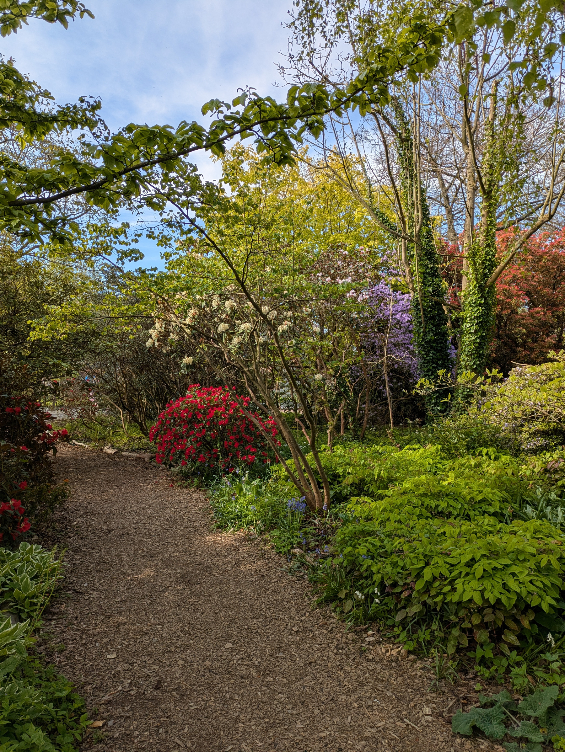 A lush garden path is surrounded by vibrant, blooming flowers and green foliage under a partially cloudy sky.