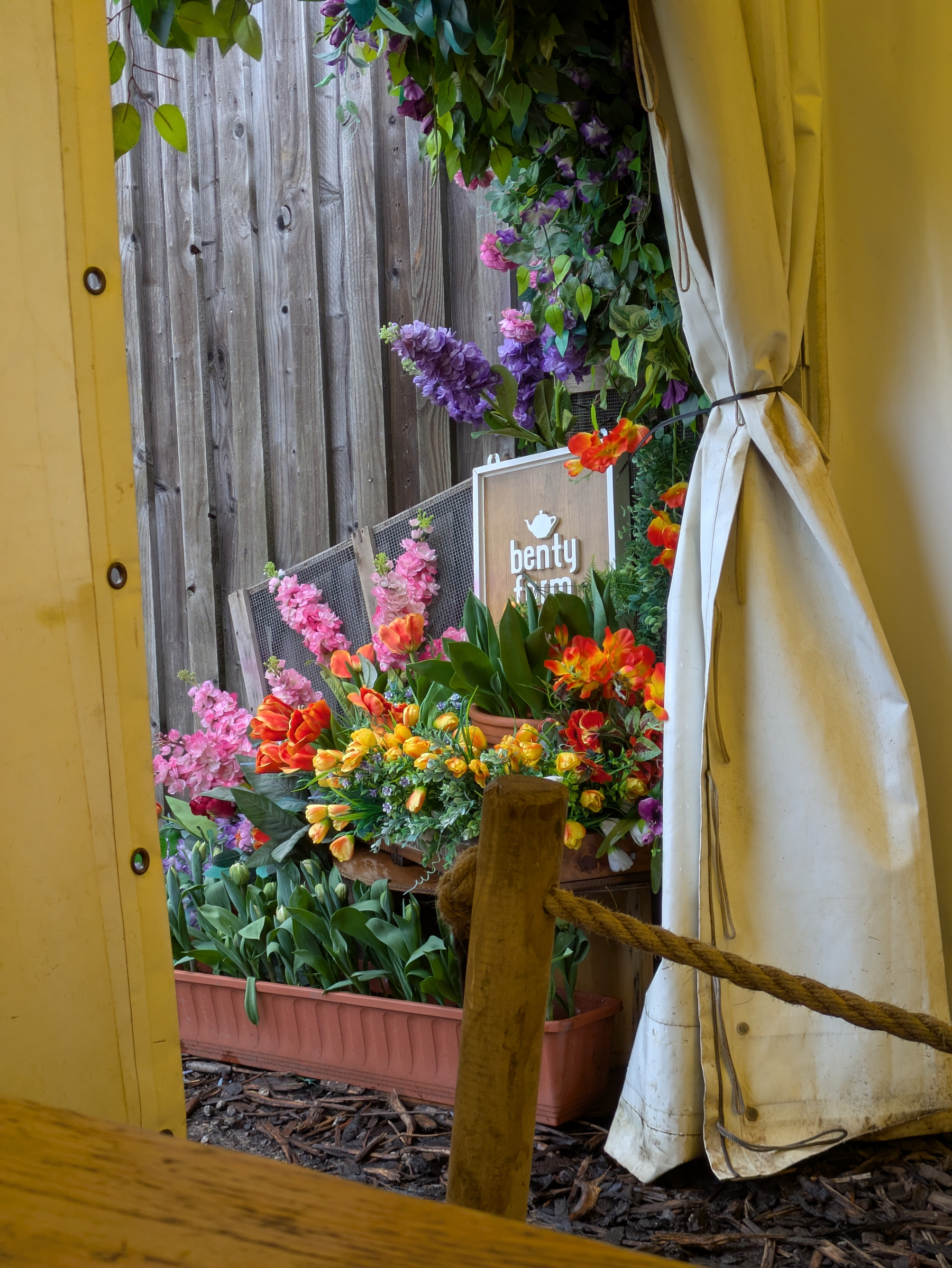A colorful arrangement of flowers is displayed next to a wooden fence, partially obscured by a white curtain.