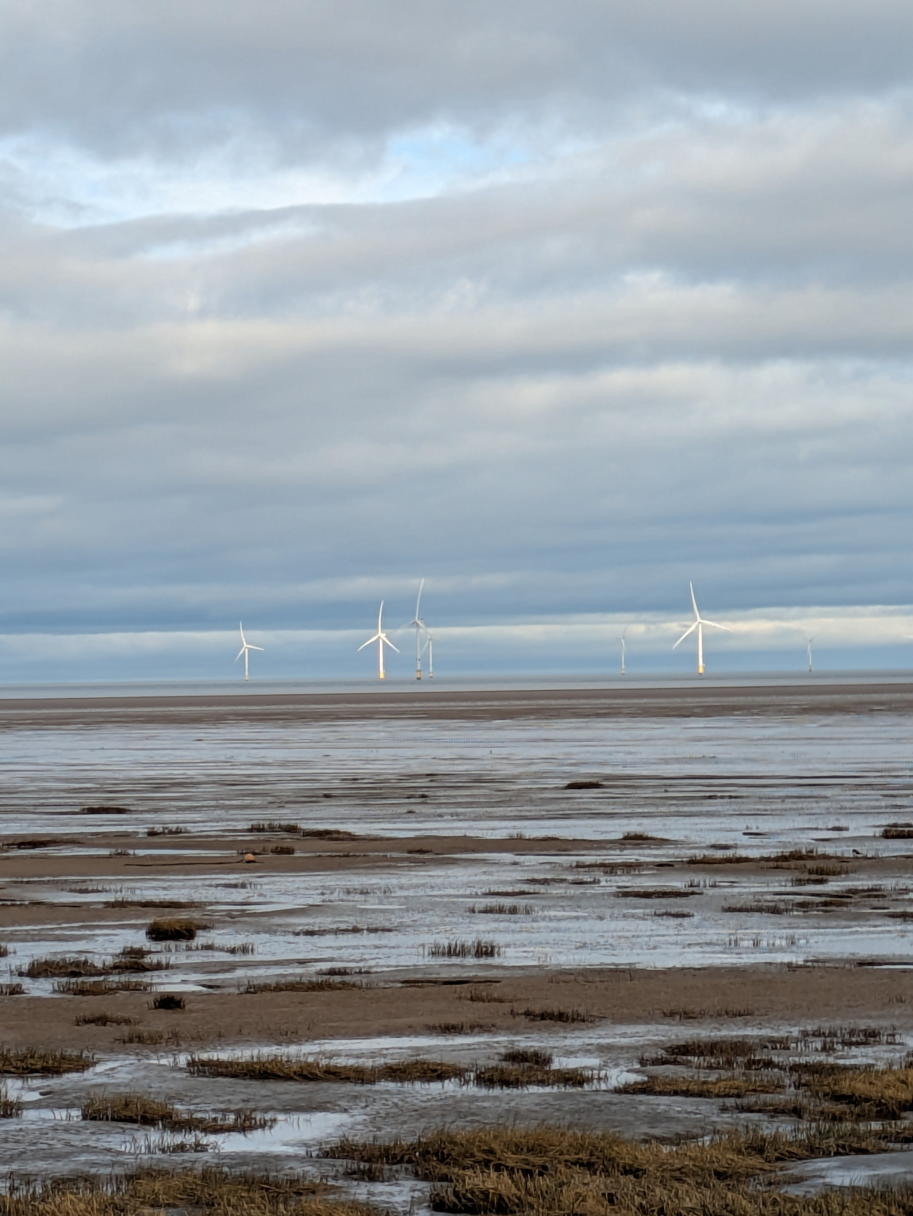 Several wind turbines are situated along a vast, cloudy seashore with patches of grass and water in the foreground.