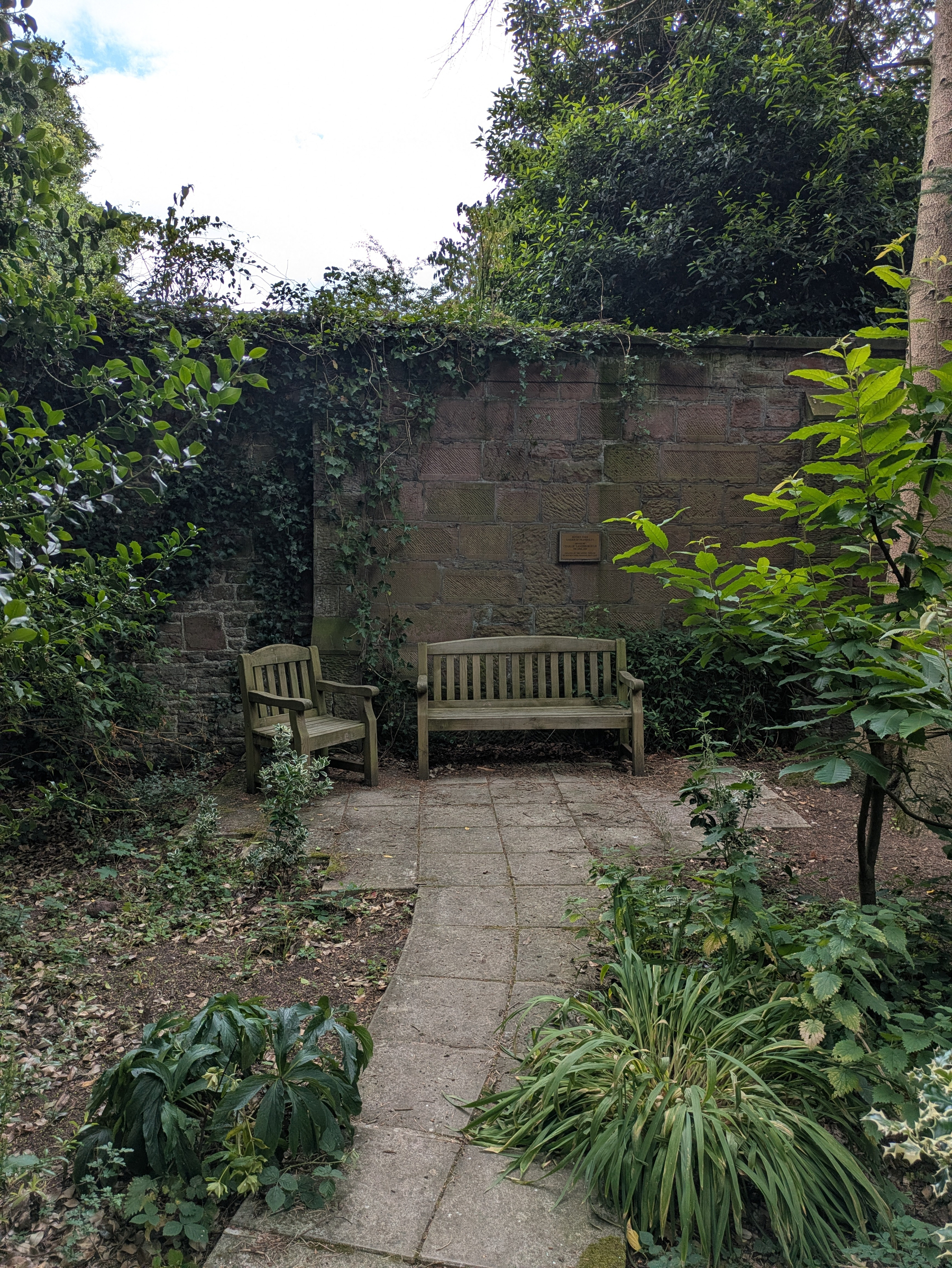 Two wooden benches are situated on a stone-paved area surrounded by lush greenery and a stone wall covered in vines.