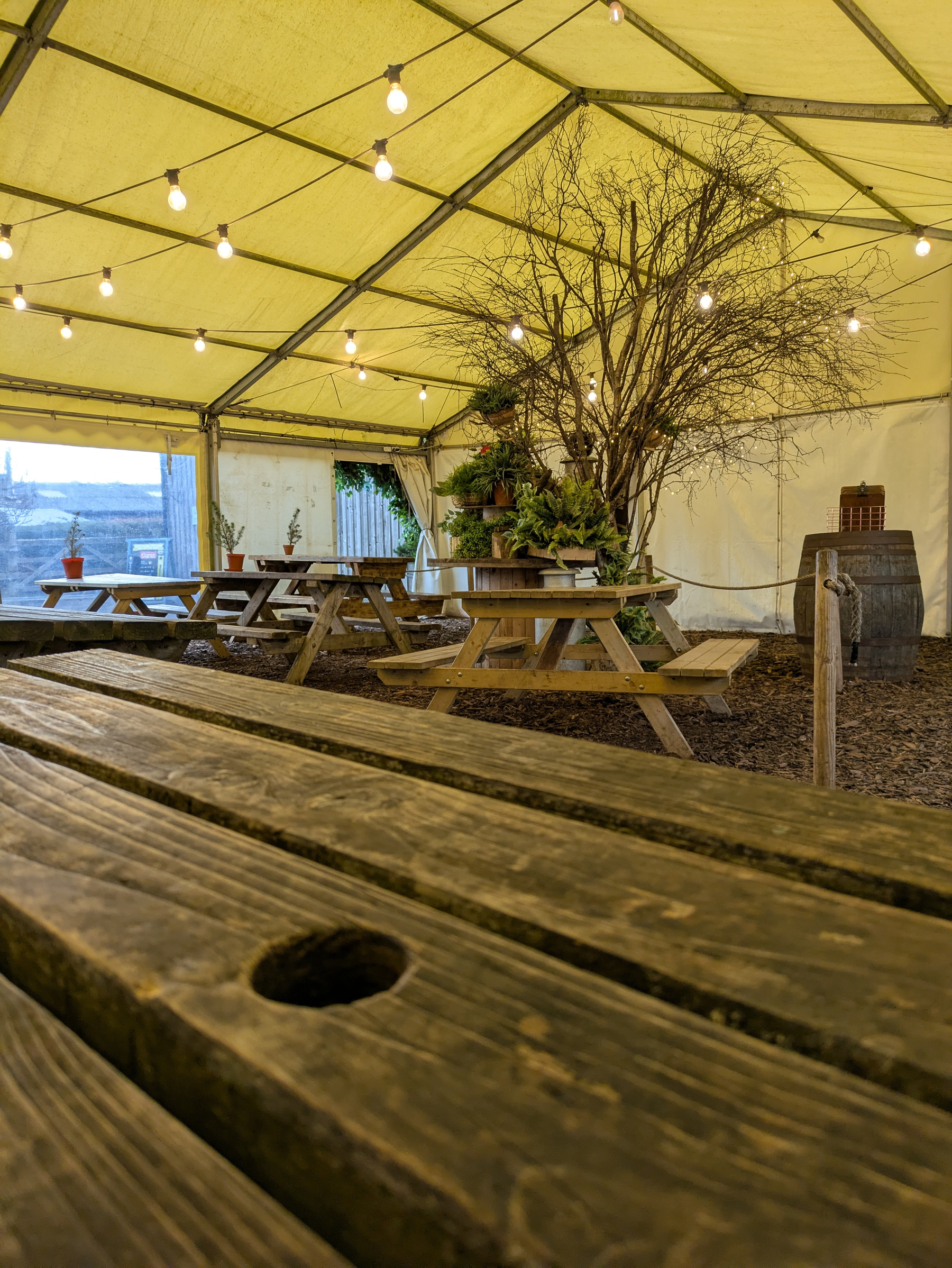 A cozy outdoor tent setup features wooden picnic tables, hanging string lights, and a small tree decoration.