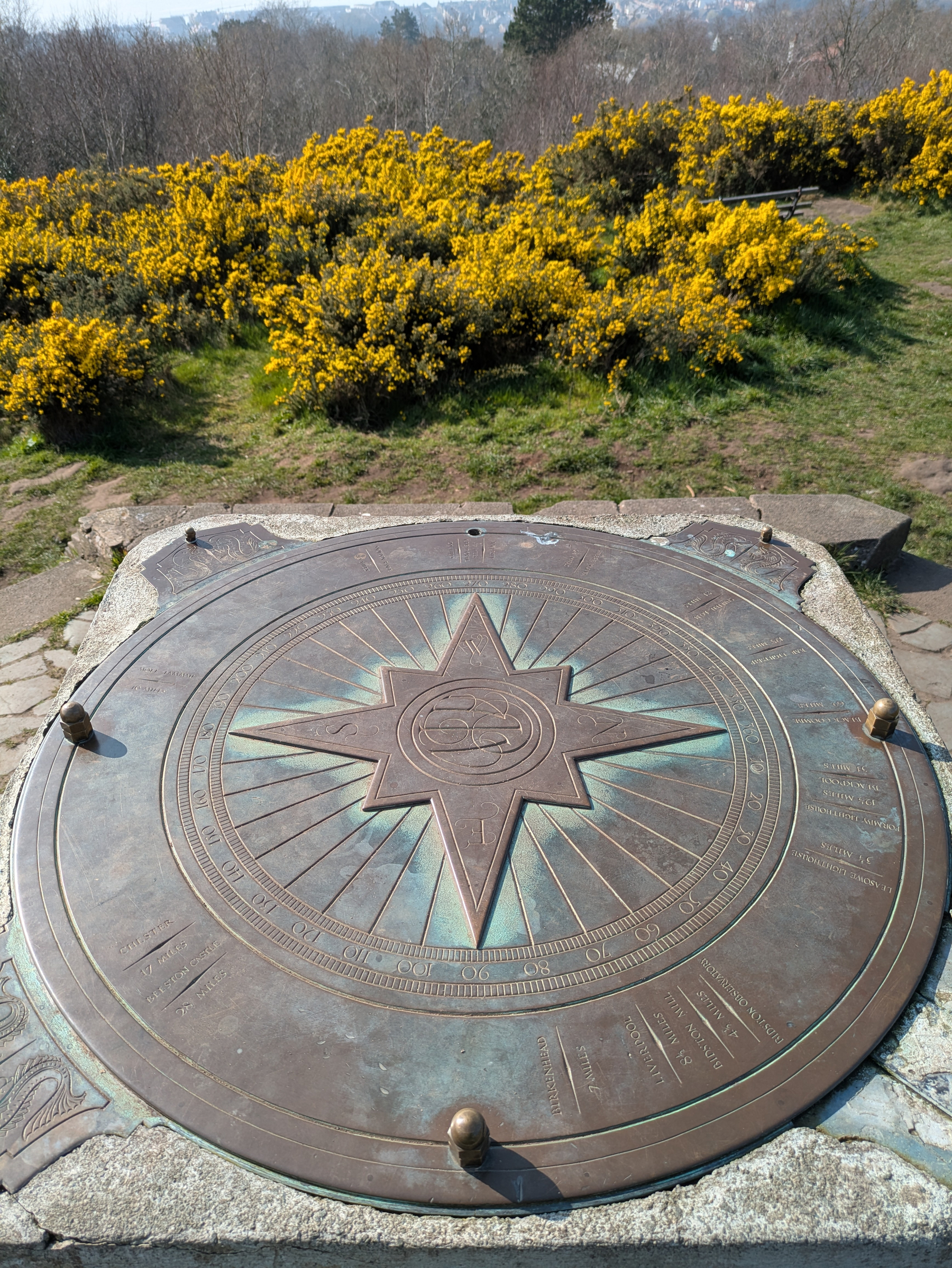 A large metal compass rose sits atop a stone pedestal amidst a field of yellow flowering shrubs.