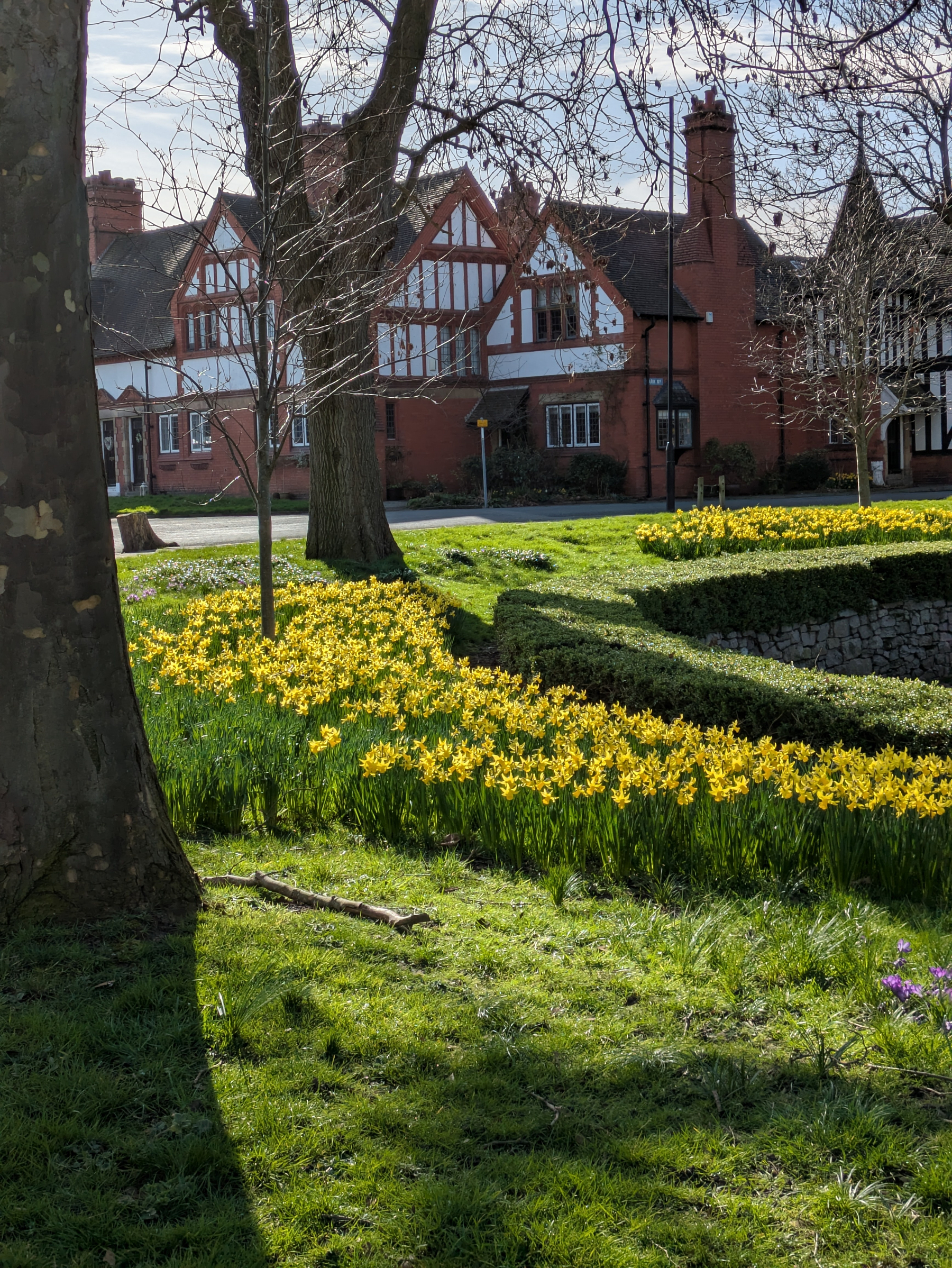 Yellow flowers line a grassy area near trees with traditional brick buildings in the background.