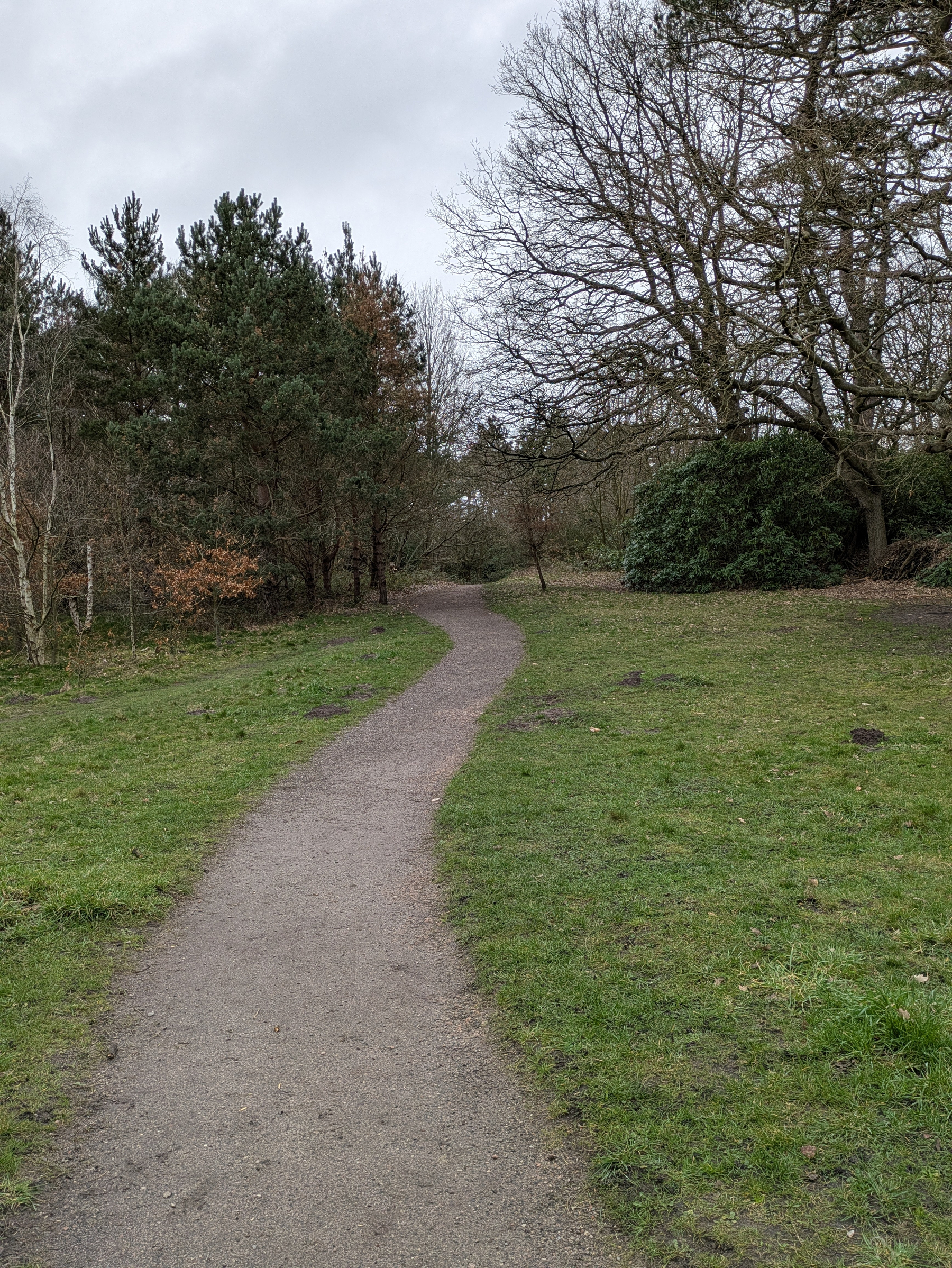 A winding path through a park surrounded by trees and grass under an overcast sky.