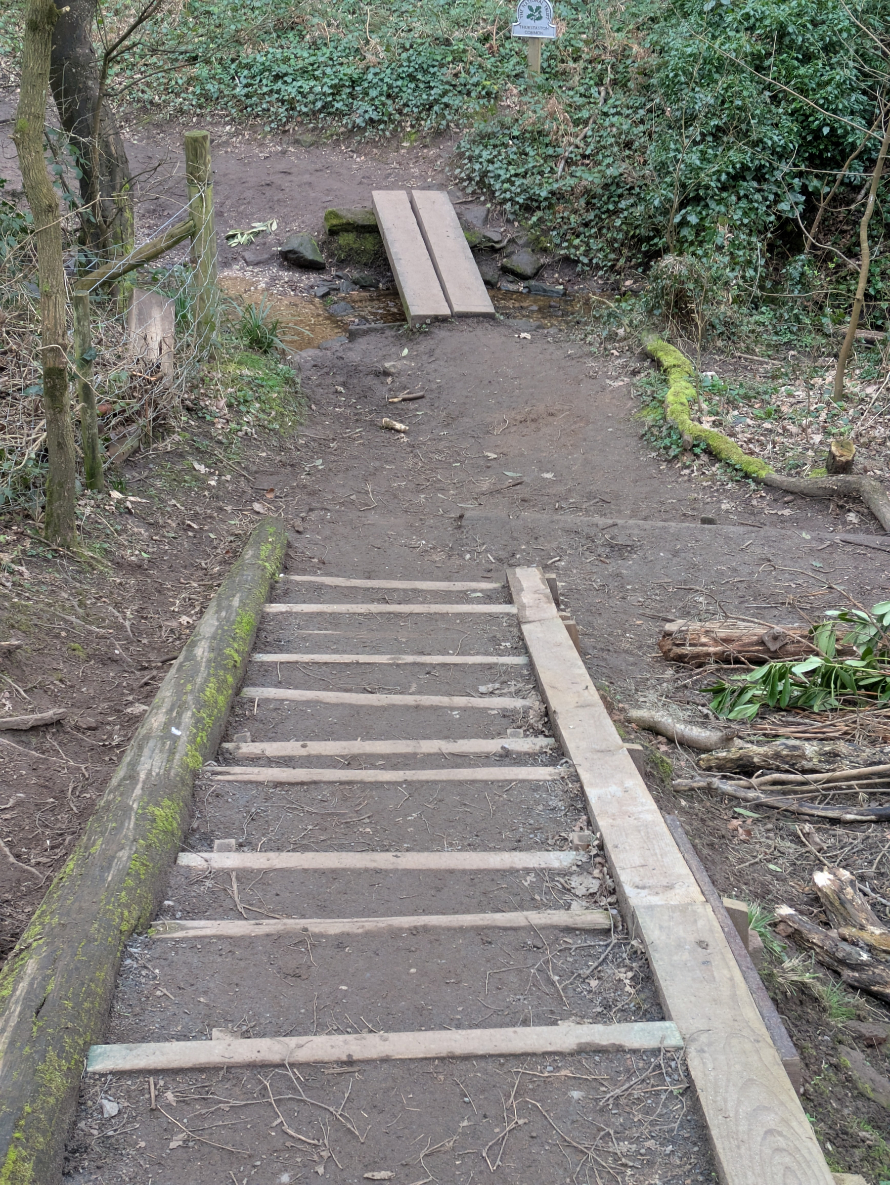 A rustic wooden staircase leads down to a small footbridge in a forested area.