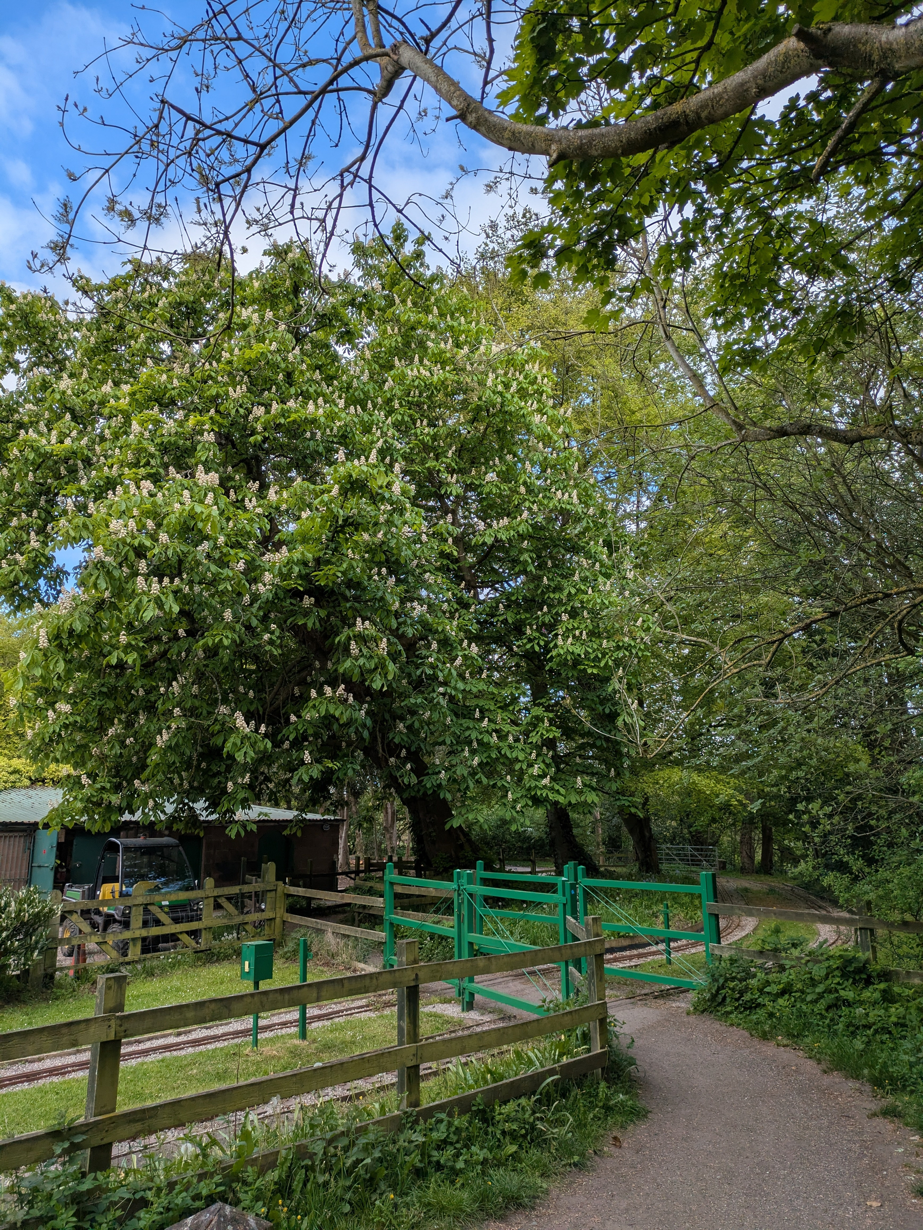 A scenic pathway leads past a lush, green fenced area with dense trees under a partly cloudy sky.