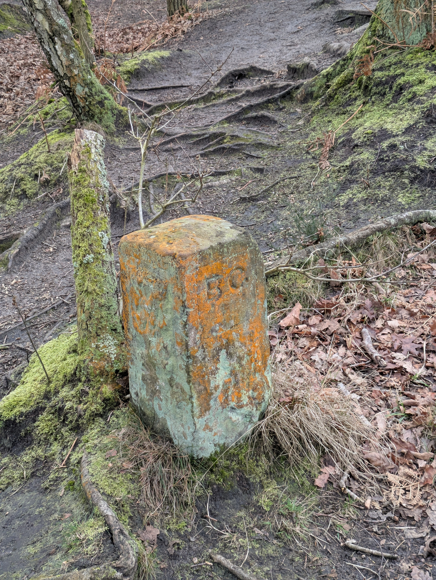 A weathered stone marker, partially covered in orange moss, is situated on a forest path surrounded by trees and fallen leaves.
