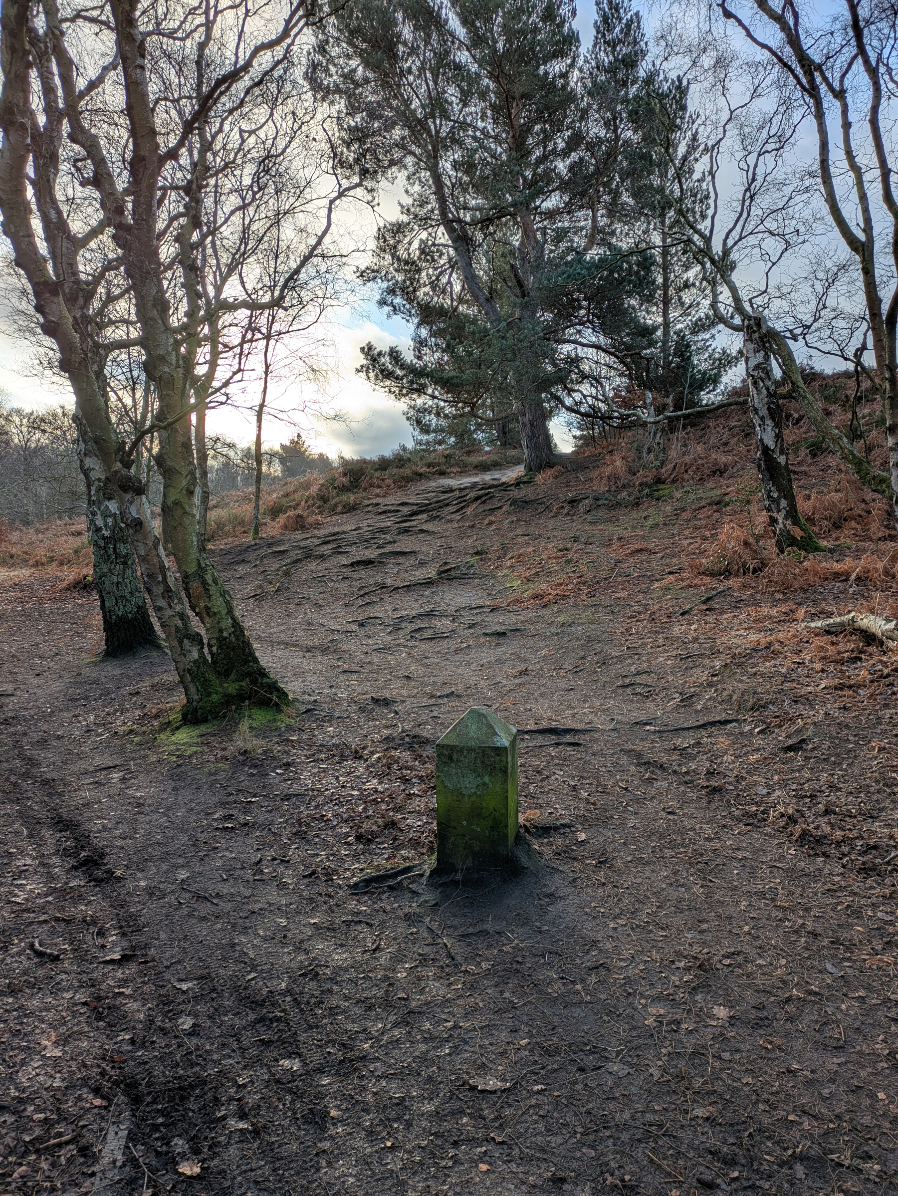 A wooded path with bare trees and a moss-covered stone marker leads uphill under a cloudy sky.