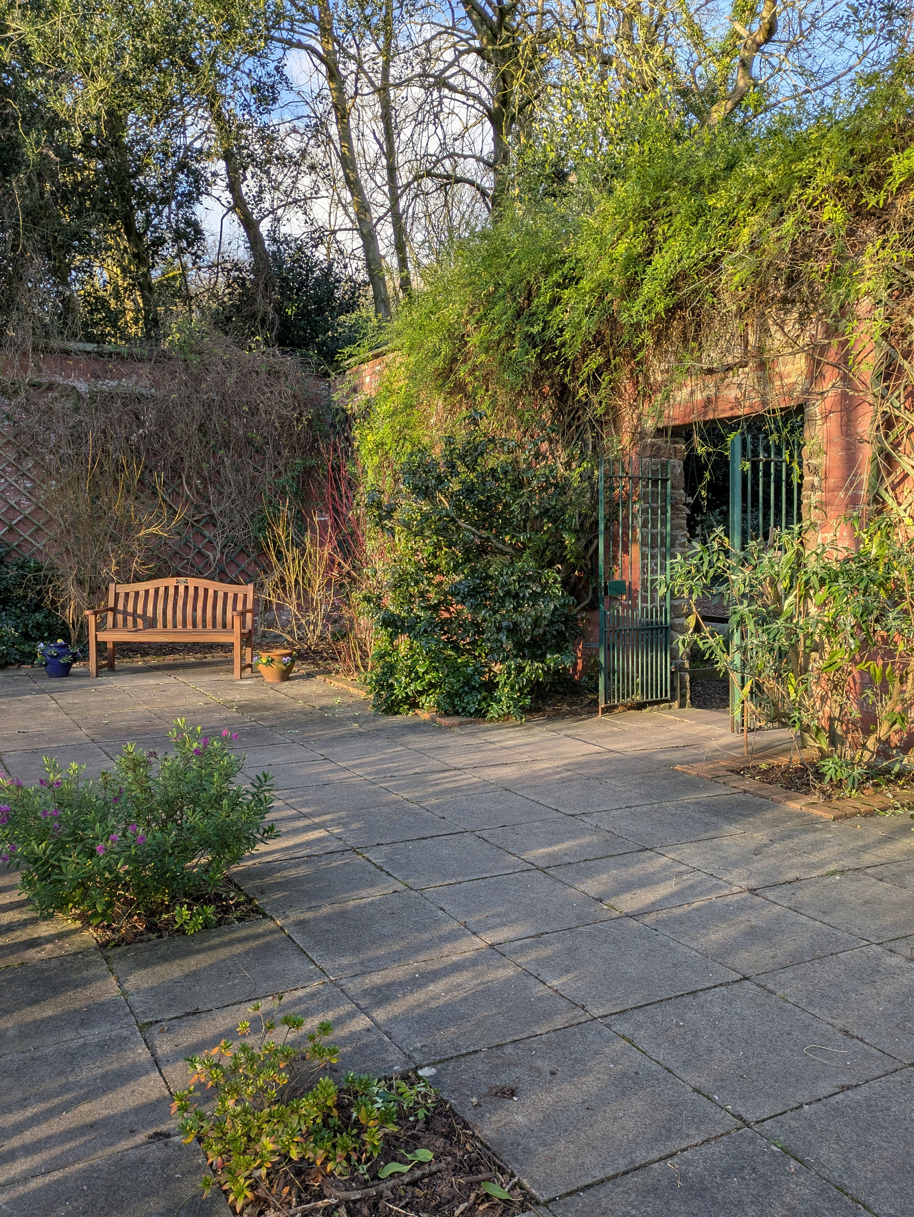 A peaceful garden scene features a wooden bench on a tiled patio surrounded by lush greenery and a vine-covered brick wall.