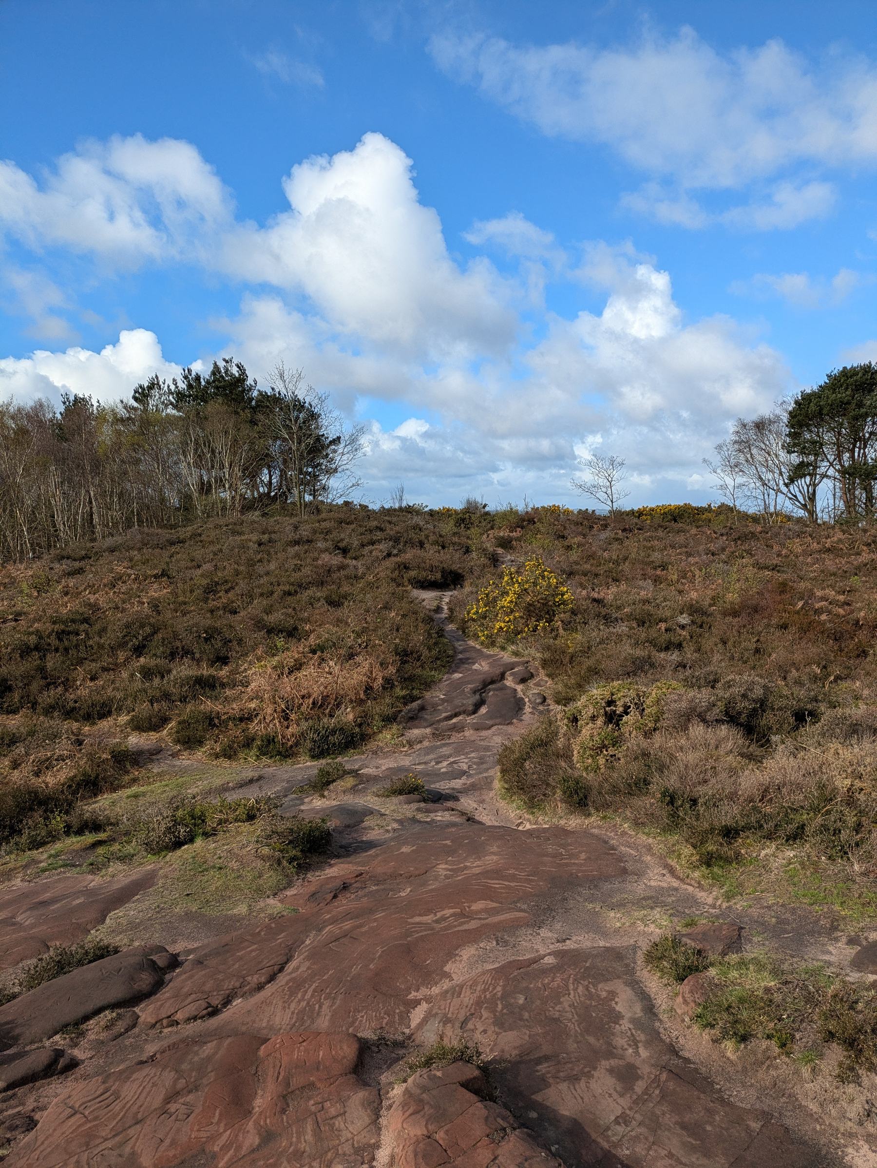 A scenic view features a rocky surface with carvings in the foreground, surrounded by a wooded area under a partly cloudy sky.