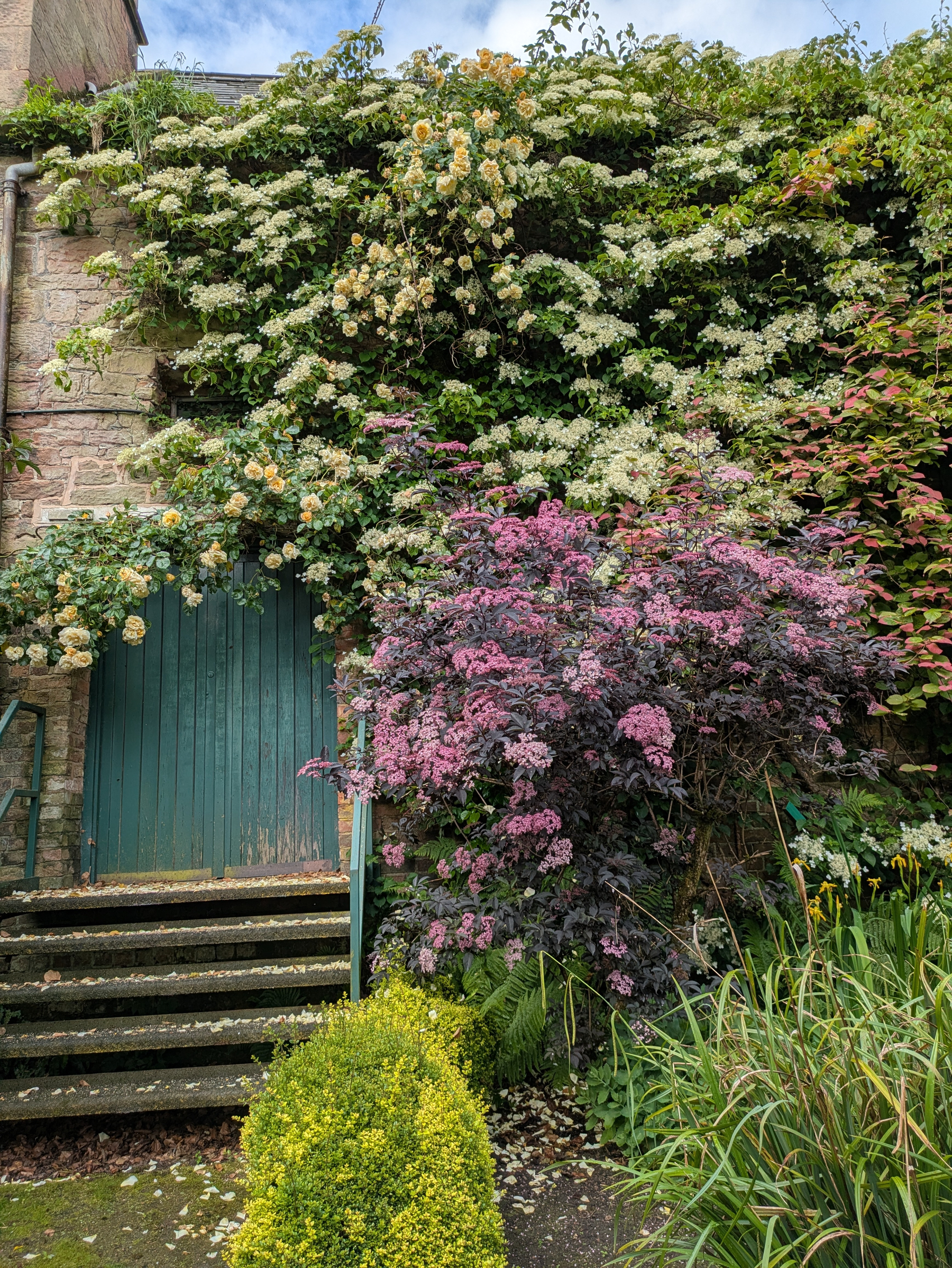 A quaint stone building is covered in lush green foliage and flowering plants, featuring a teal door and surrounded by vibrant shrubs and garden greenery.