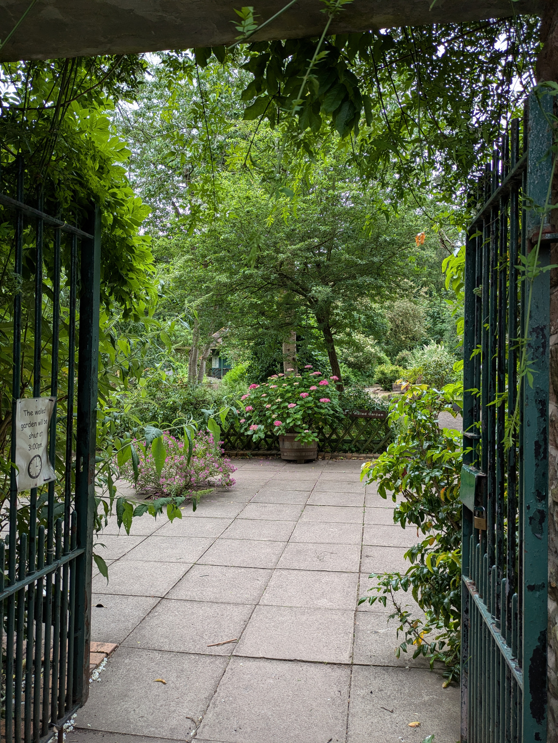 A lush garden with abundant greenery and blooming flowers is visible through an open wrought iron gate.