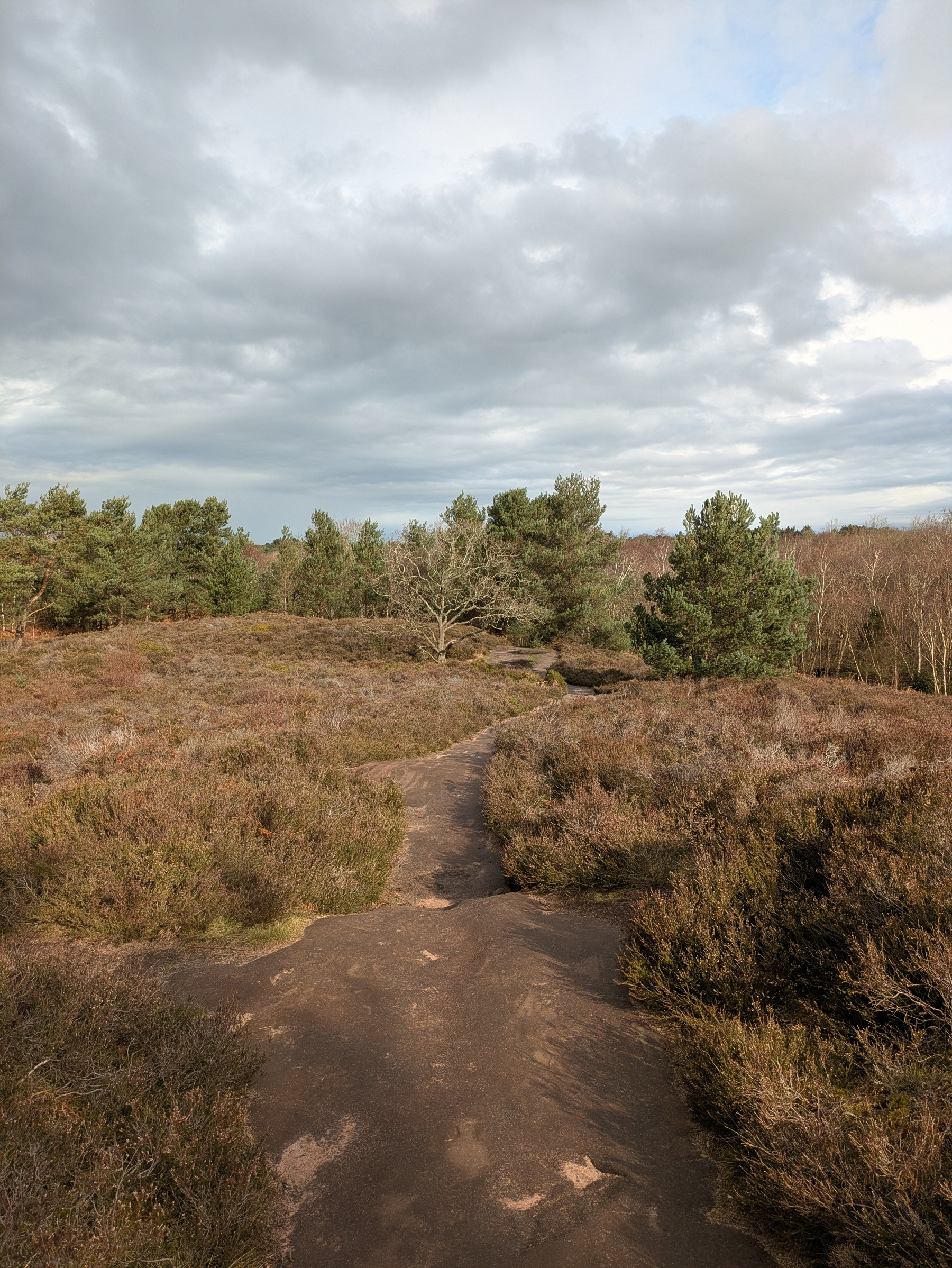 A narrow dirt path winds through a landscape of sparse shrubs and trees under a cloudy sky.