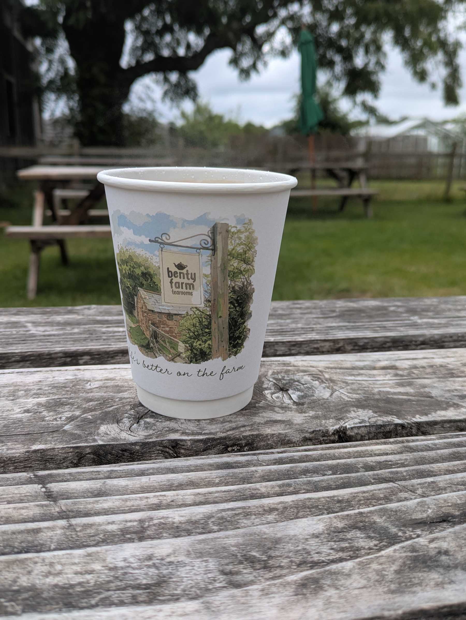 A paper cup with a farm-themed design sits on a weathered wooden picnic table in an outdoor setting with grass, trees, and picnic benches in the background.