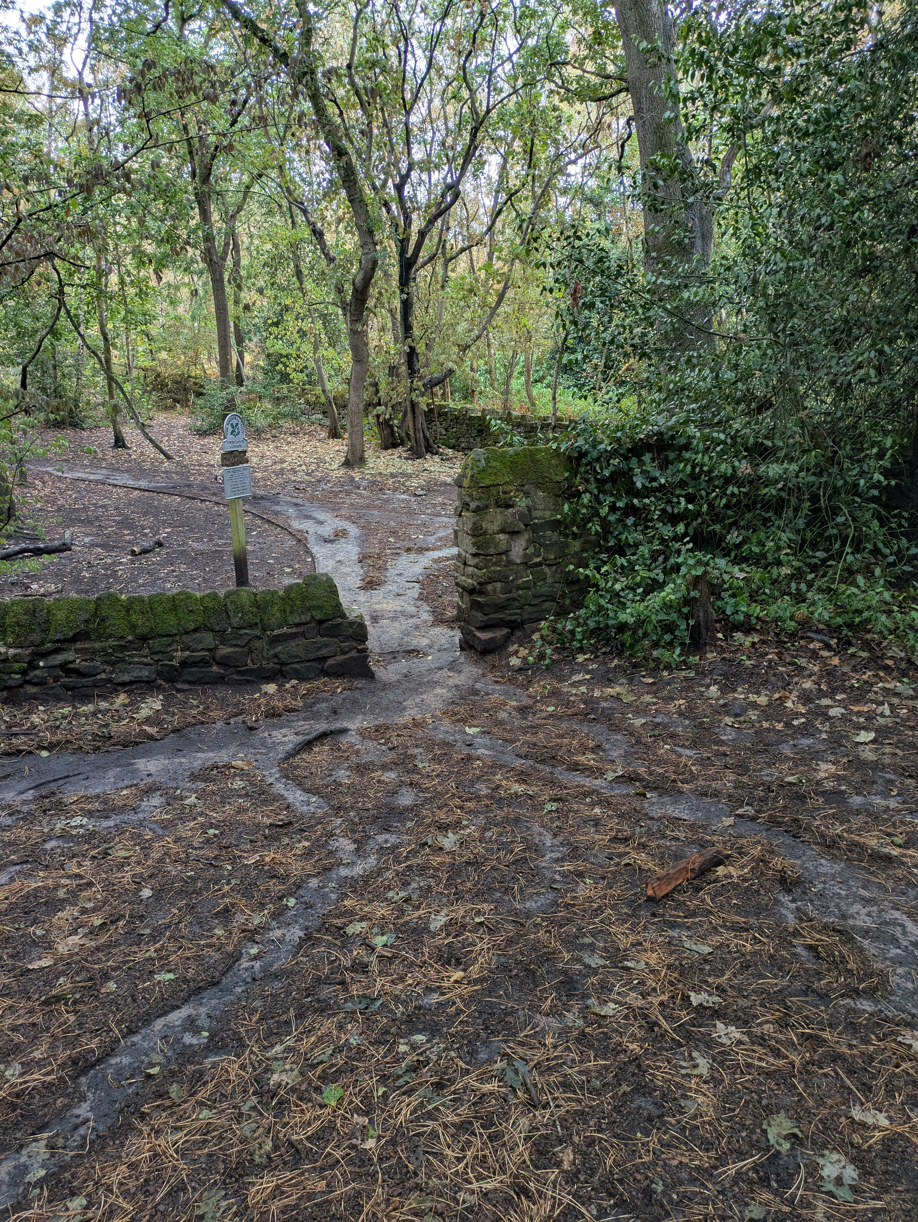 A dirt path winds through a wooded area past a moss-covered stone wall and a signpost.