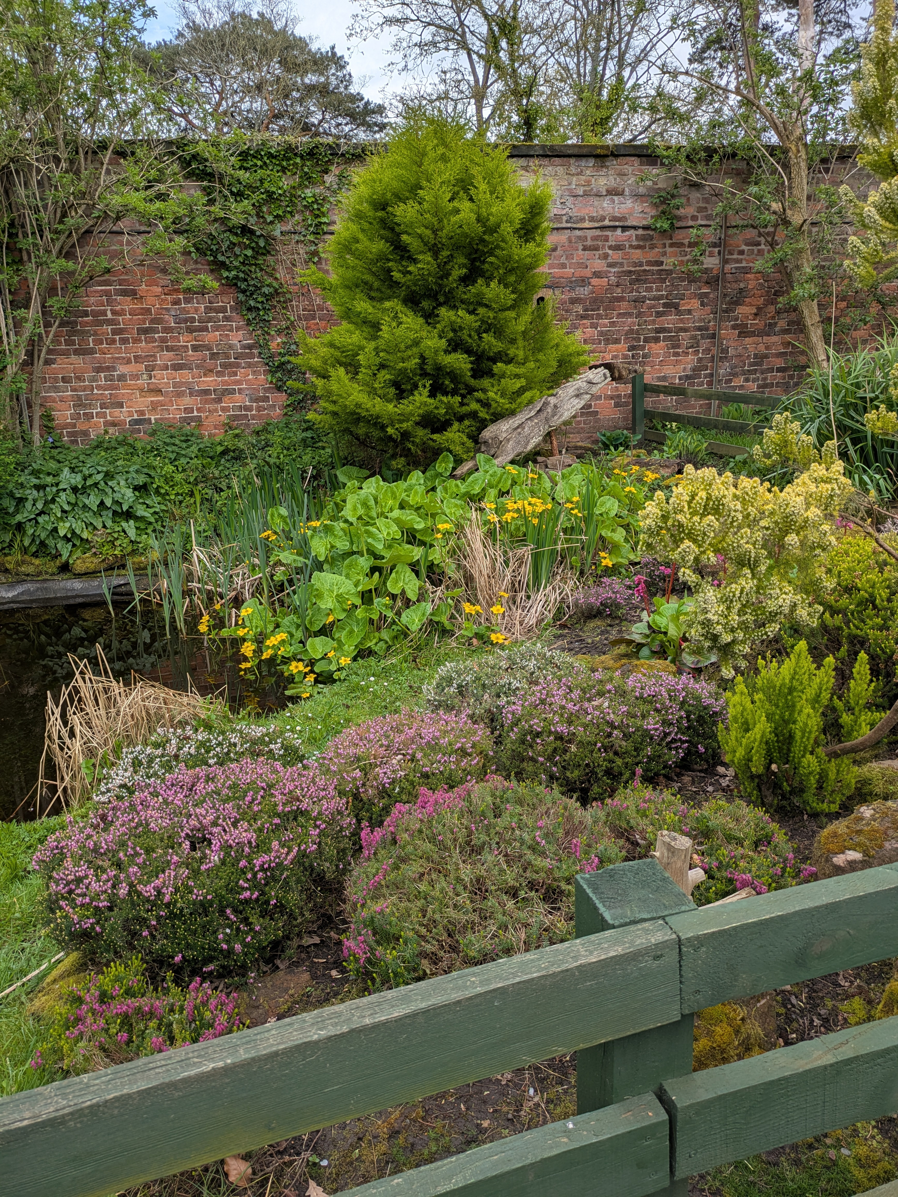 A lush garden with blooming flowers, a small pond, and a brick wall in the background.