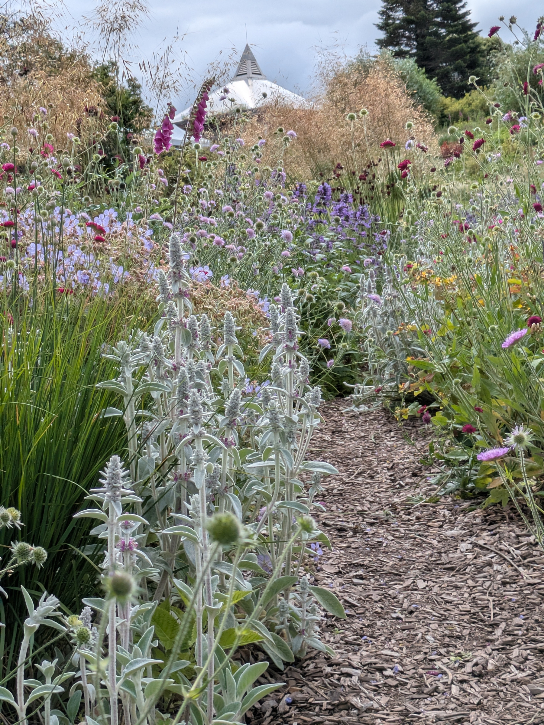 A narrow wood-chipped path winds through a lush, colorful garden filled with various blooming flowers, leading towards a distant white building with a pointed roof.