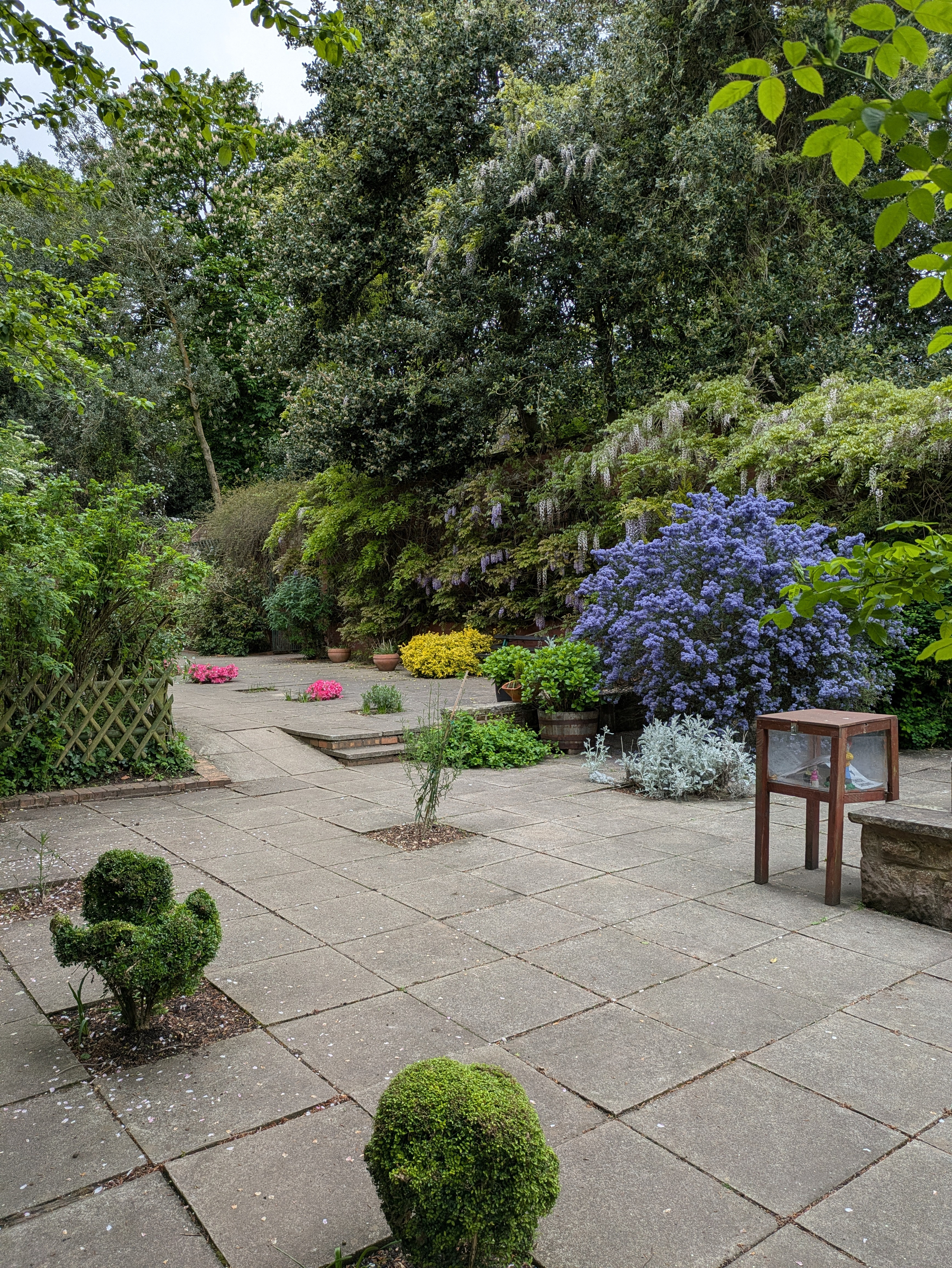 A peaceful garden features a stone path surrounded by lush greenery, colorful flowering bushes, and a small display case.