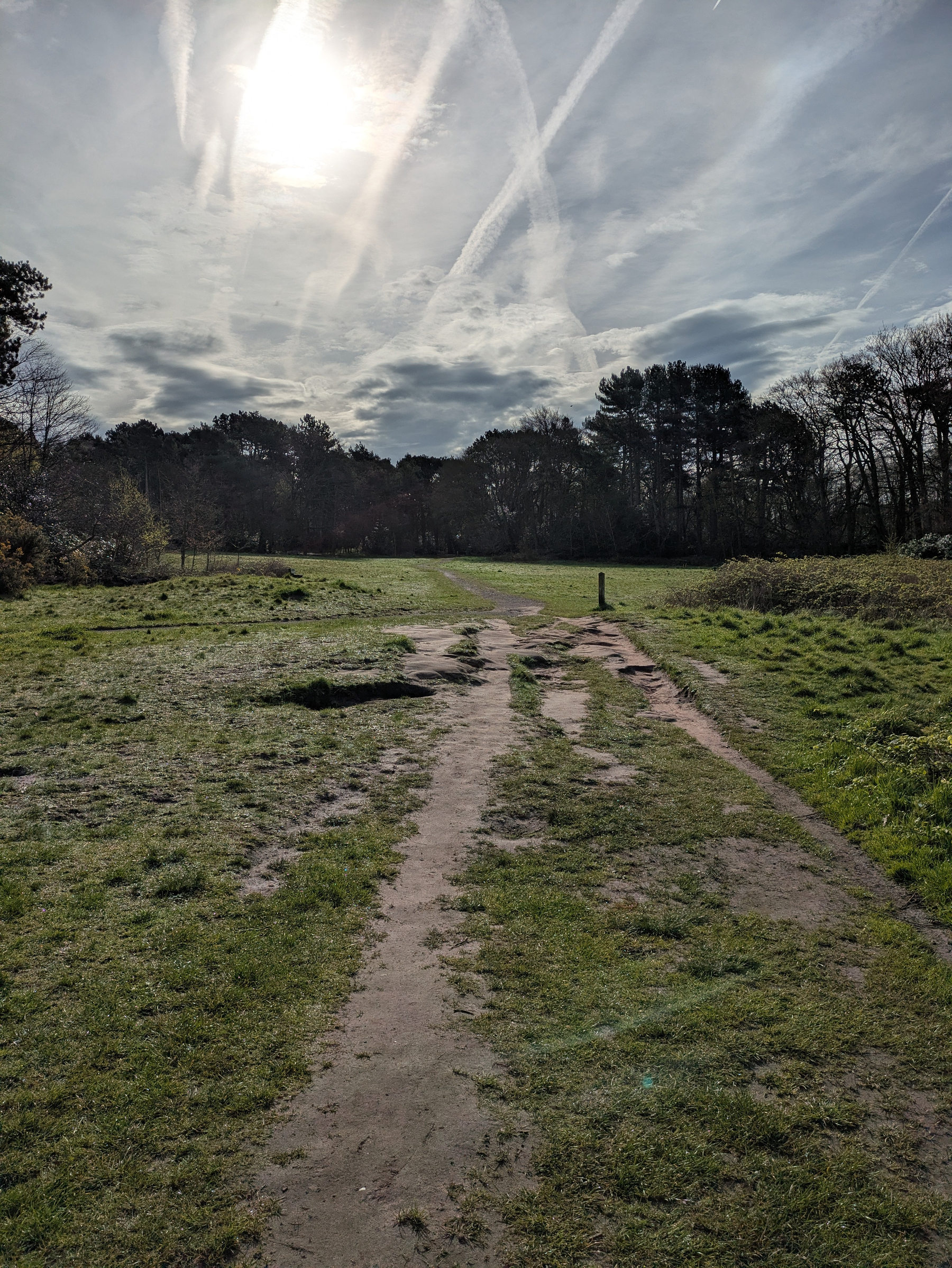 A sunlit path winds through a green, open field with trees silhouetted against a cloudy sky.