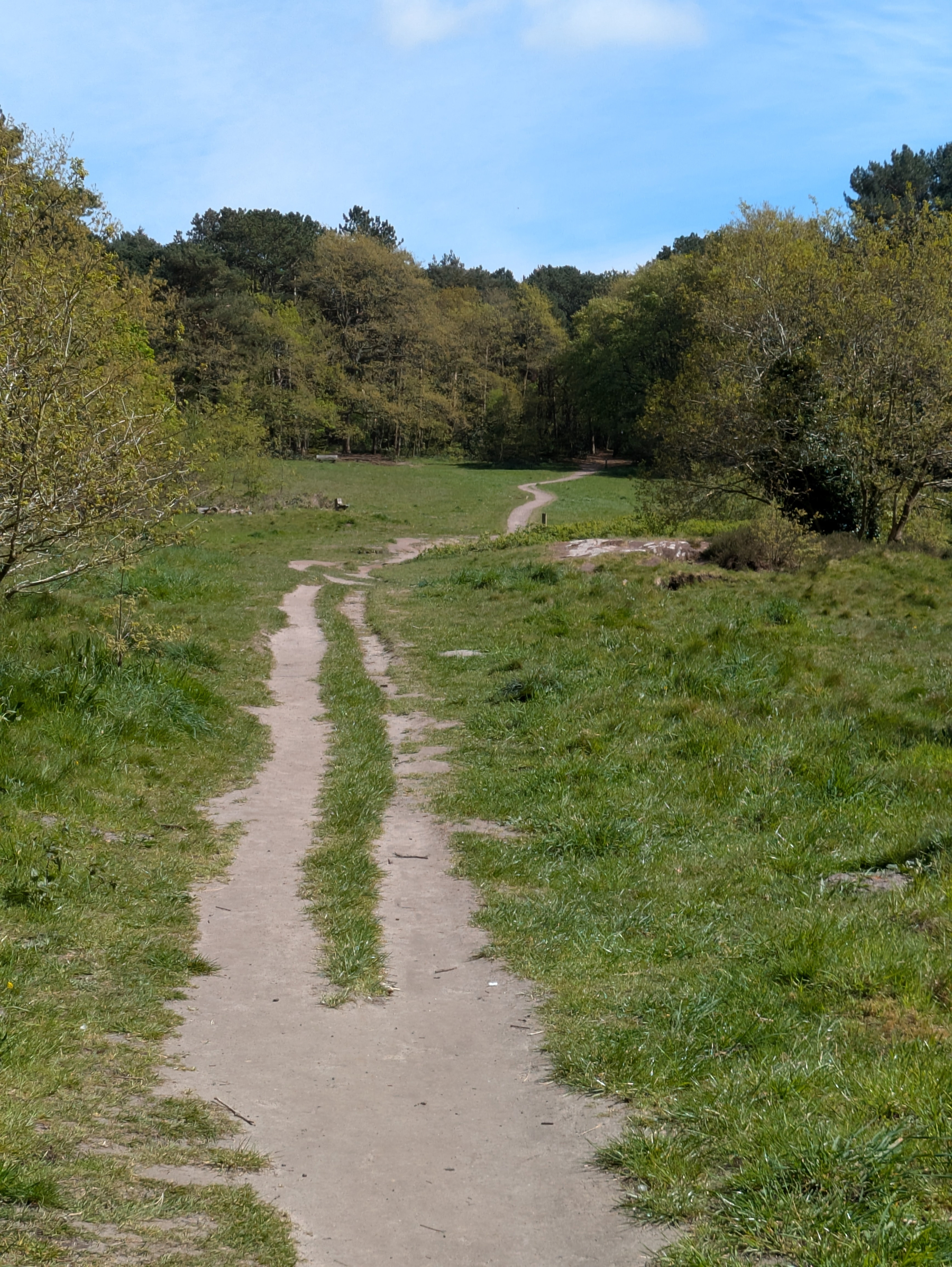 A dirt path winds through a lush, green landscape bordered by trees, leading into a wooded area under a blue sky.