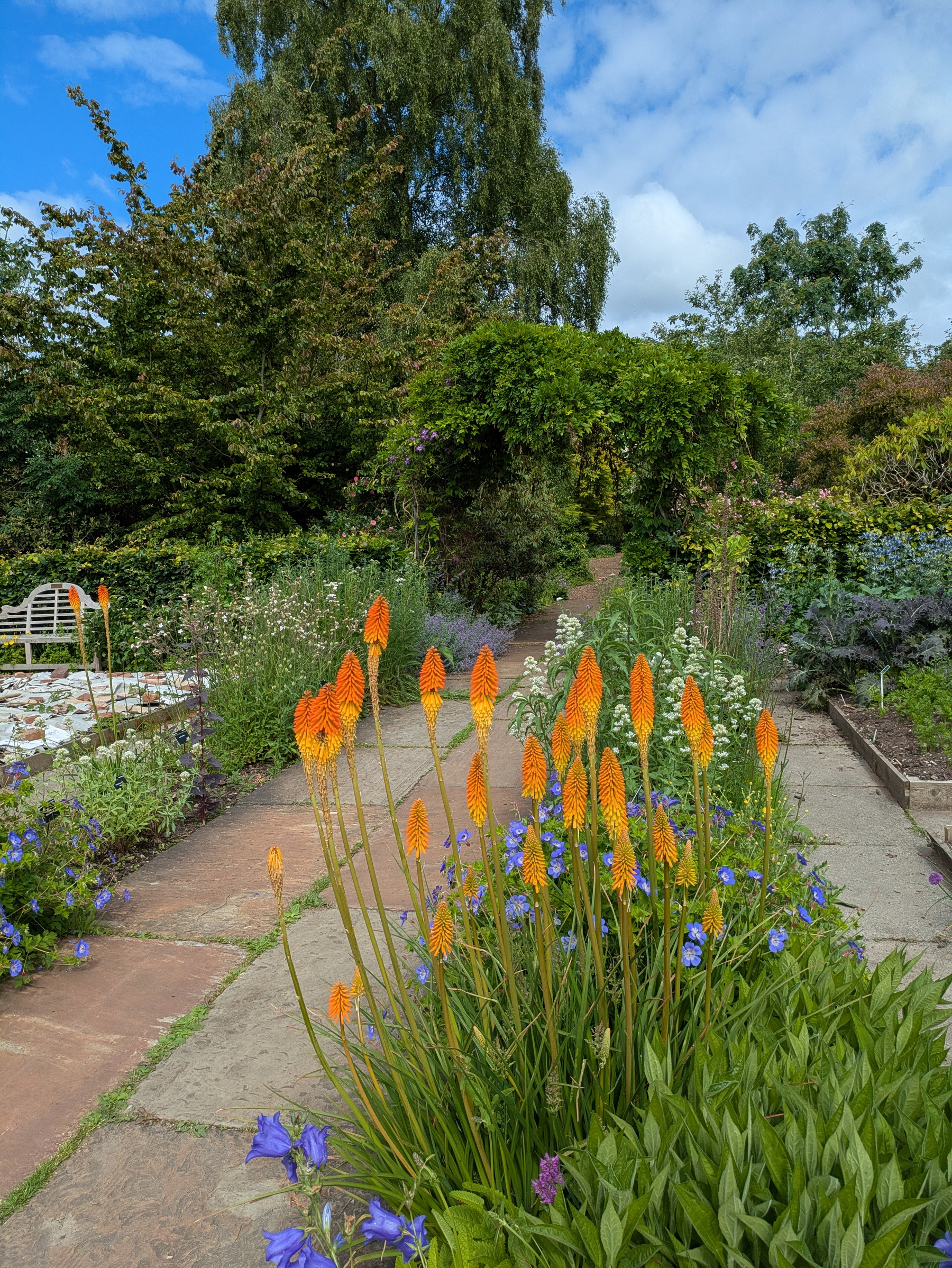 A garden path is lined with vibrant orange and purple flowers, surrounded by lush greenery and trees under a blue sky.